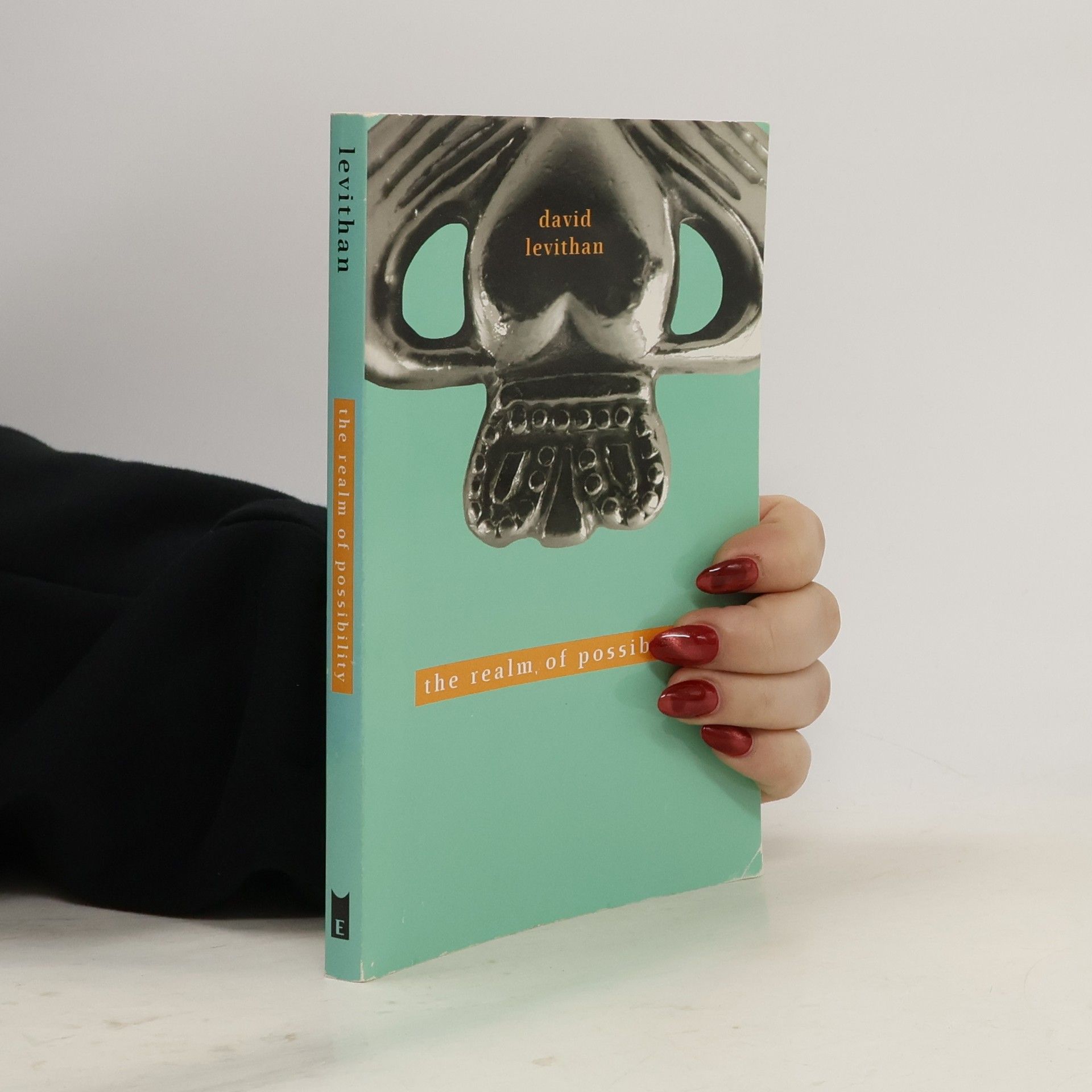 David Levithan The Realm of Possibility