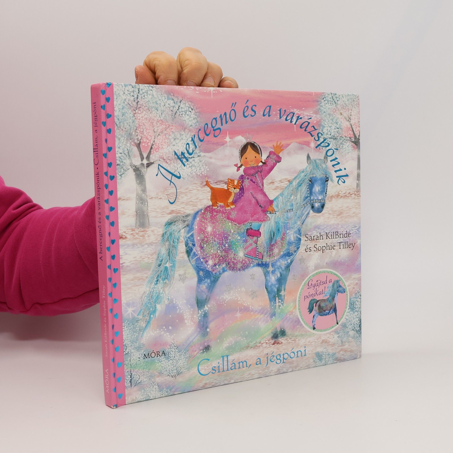 A hercegnö és varázspónik