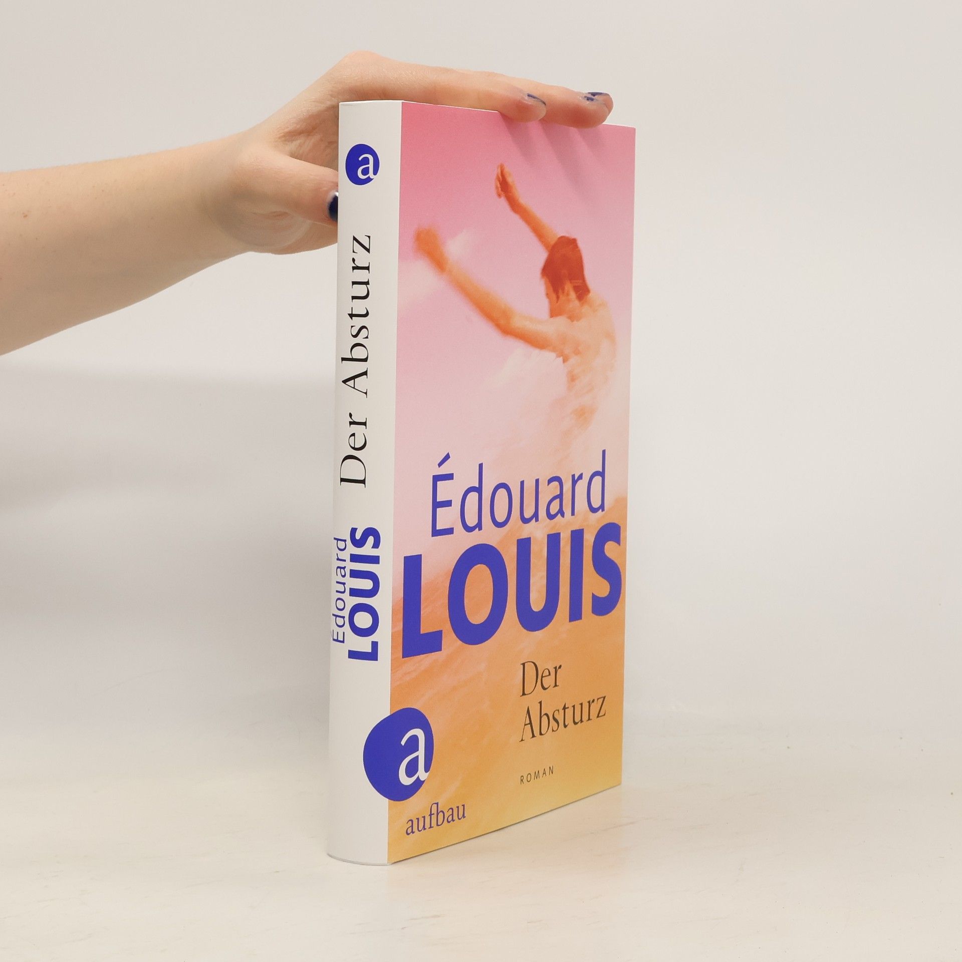 Édouard Louis Der Absturz