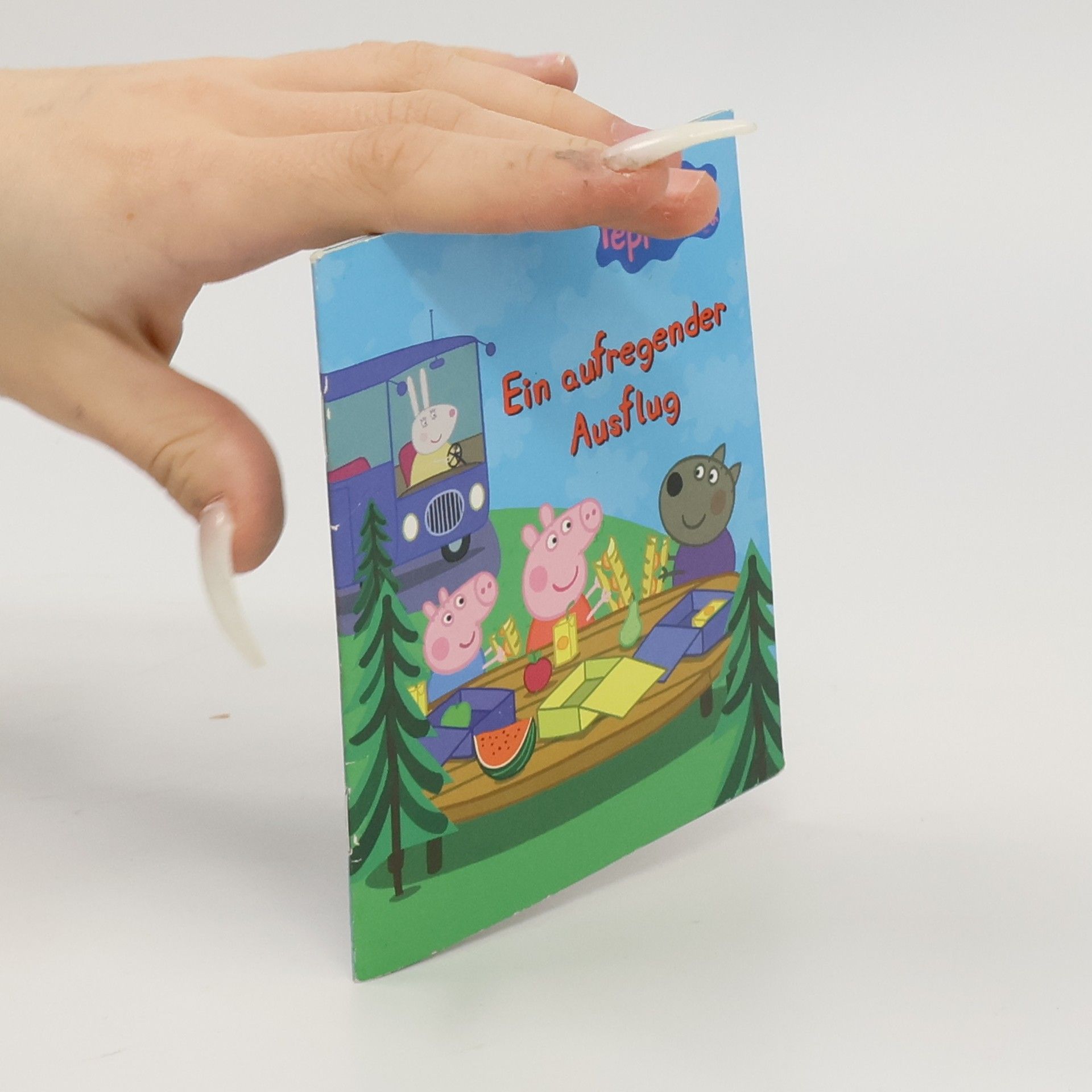 Autorenkollektiv Ein aufregender Ausflug