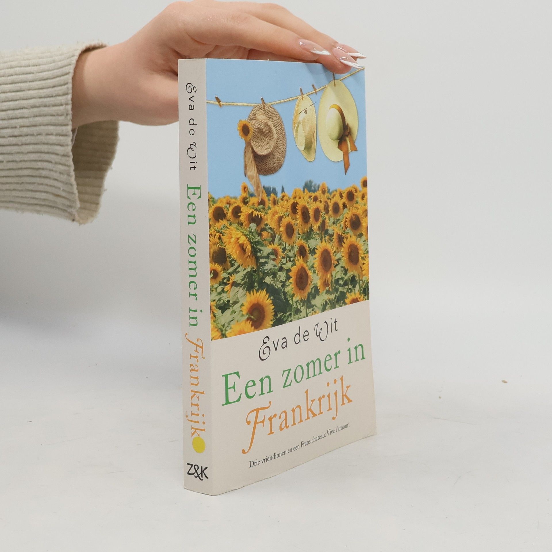 Eva De Wit Een zomer in Frankrijk, Book & Service editie