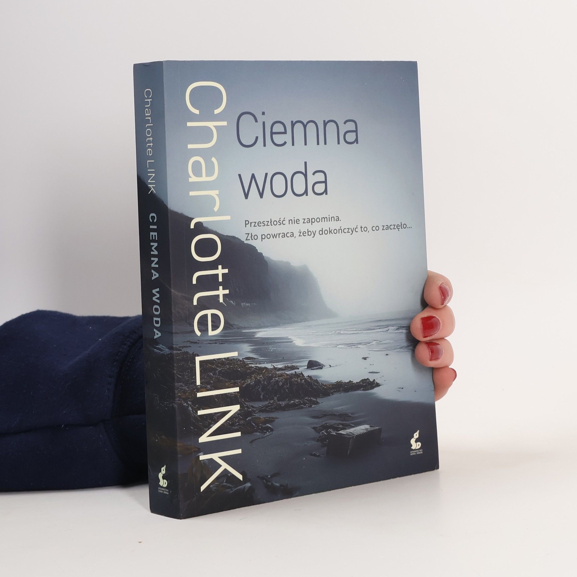 Charlotte Link Ciemna woda