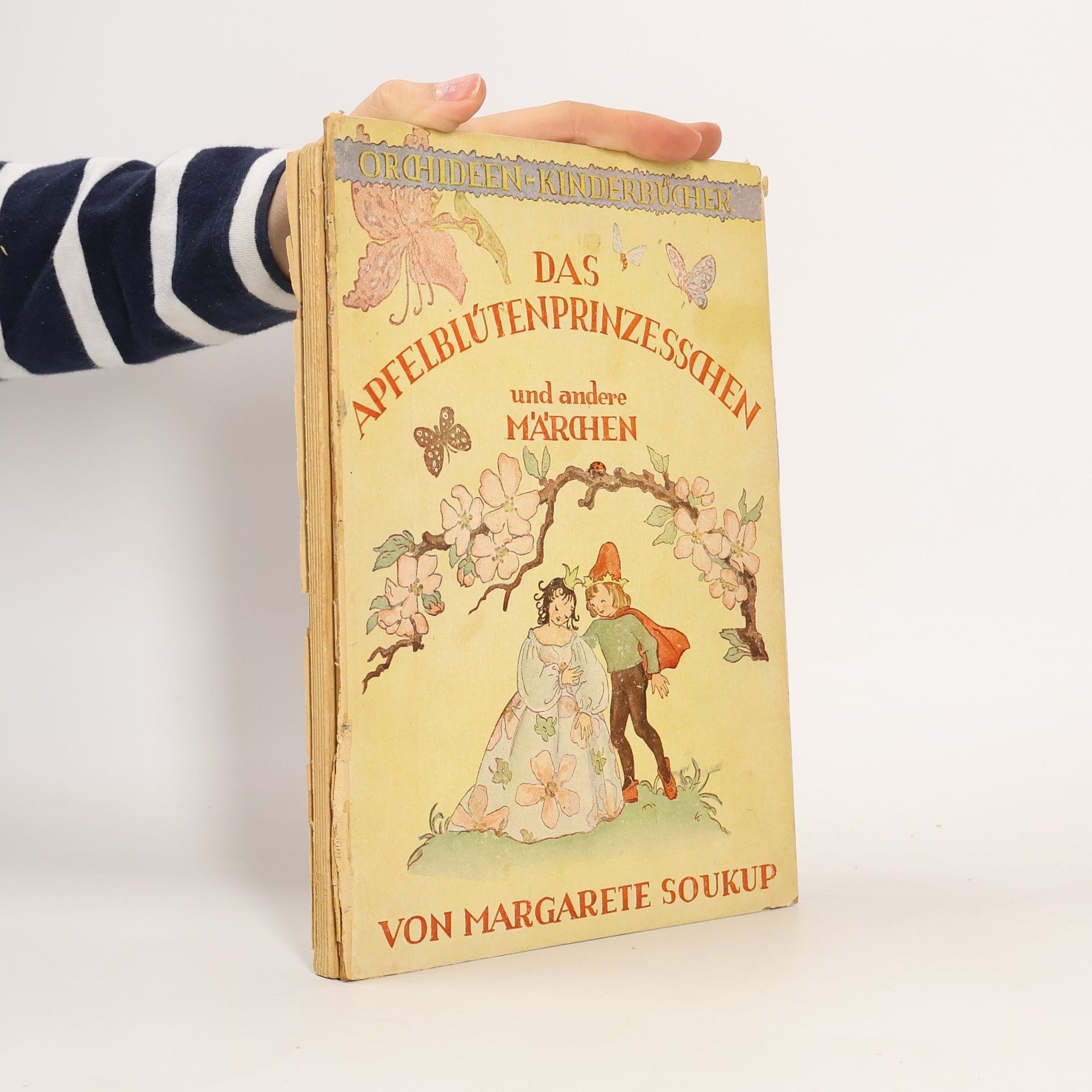 Margarete Soukup Das Apfelblútenprinzesschen