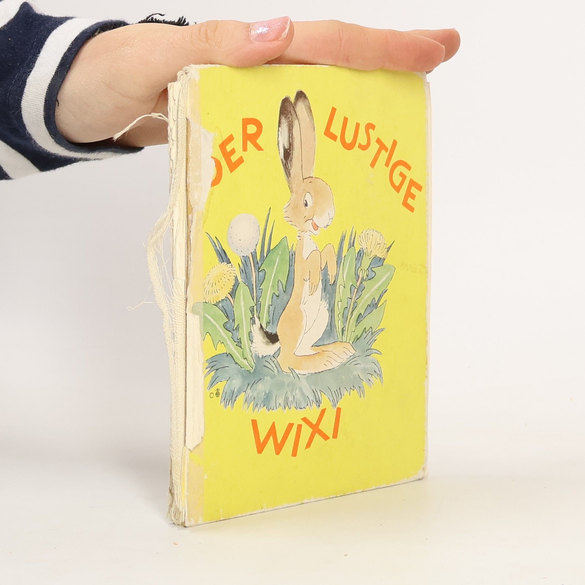 Ida Bohatta-Morpurgo Bohatta-Bilderbücher: Der lustige Wixi