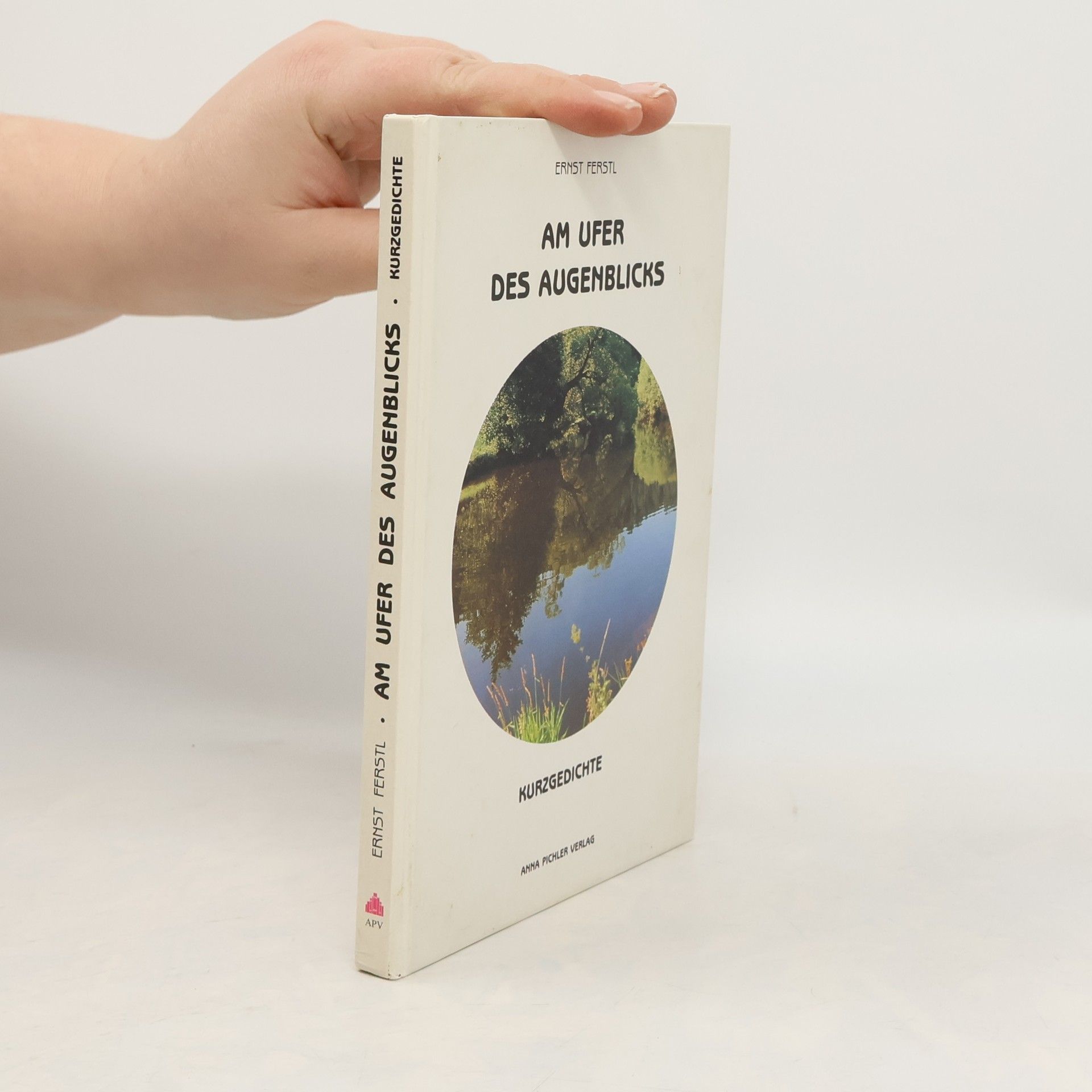 Am Ufer des Augenblicks