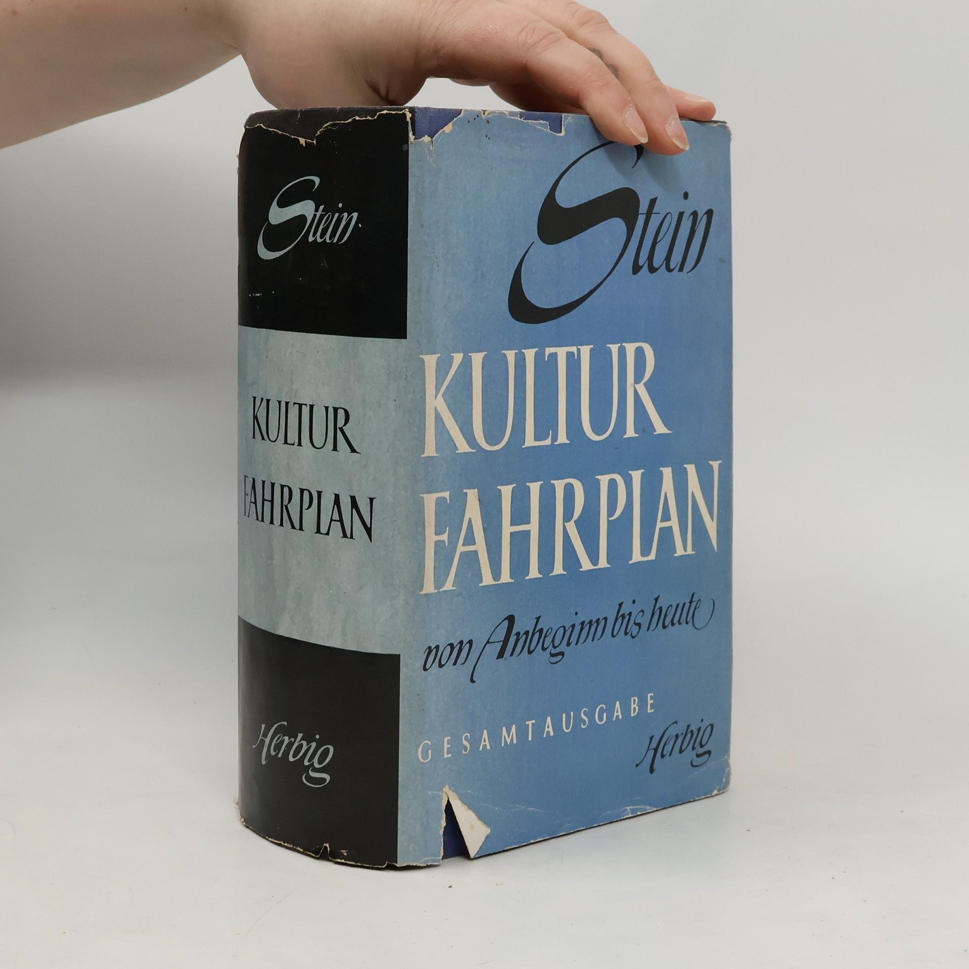 Werner Stein Kulturfahrplan