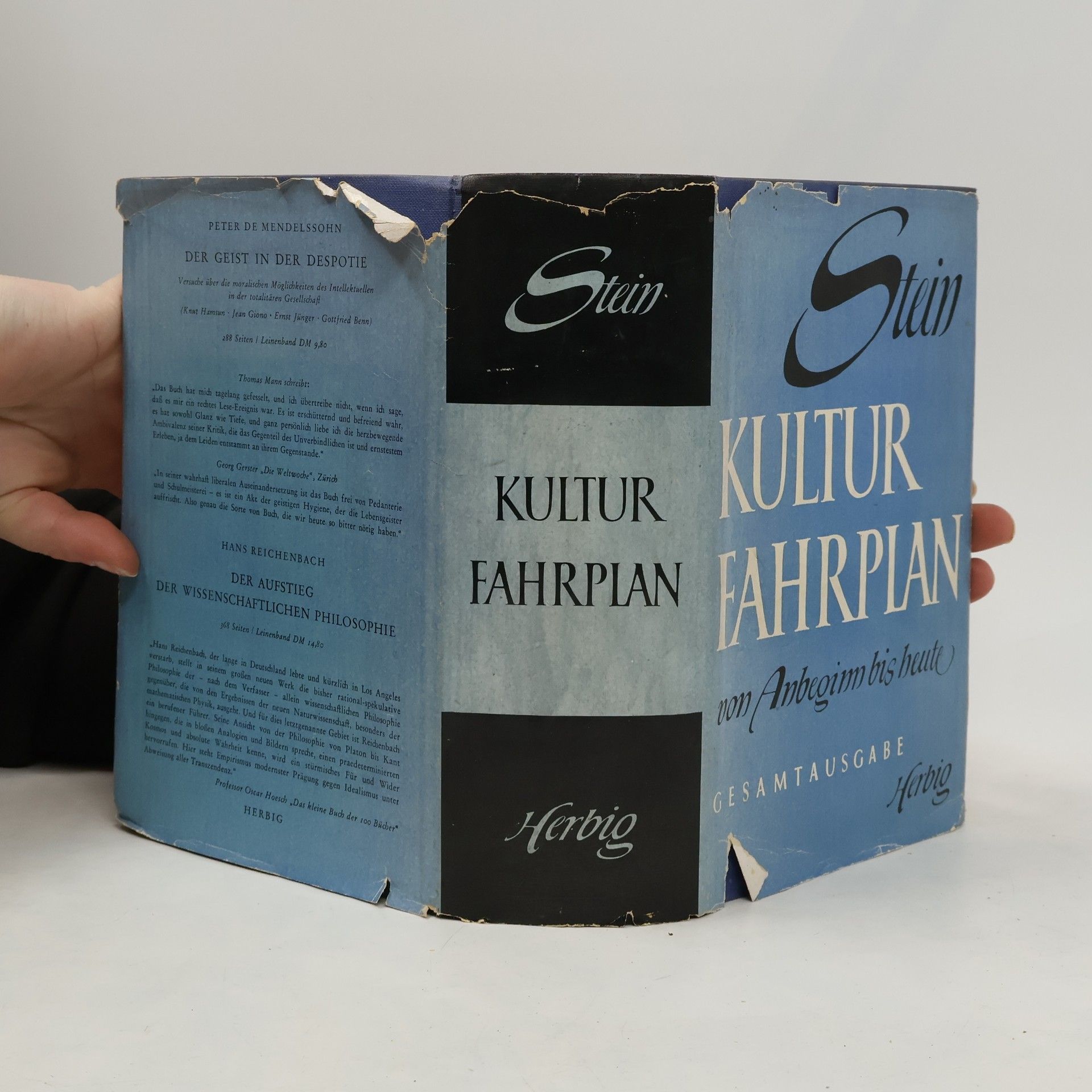 Werner Stein Kulturfahrplan