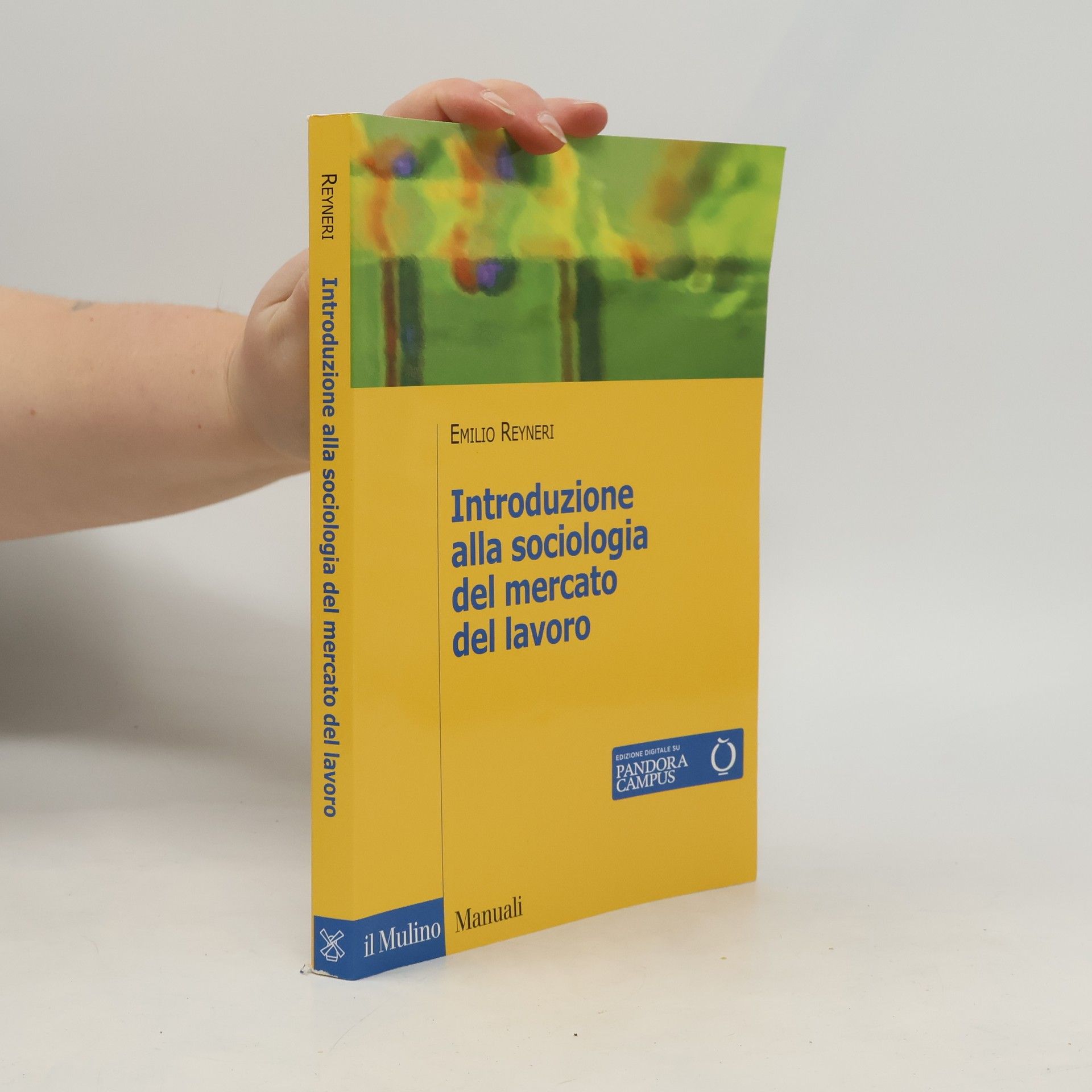 Emilio Reyneri Introduzione alla sociologia del mercato del lavoro - Edizione digitale su Pandora Campus