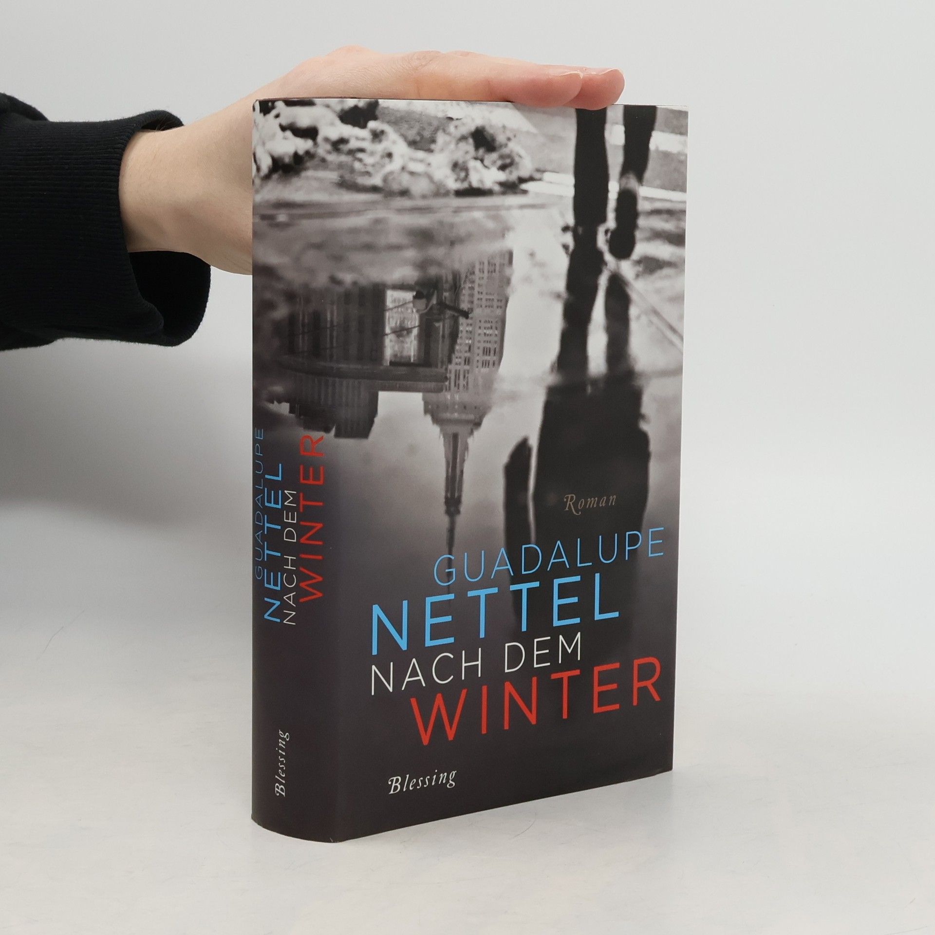 Guadalupe Nettel Nach dem Winter