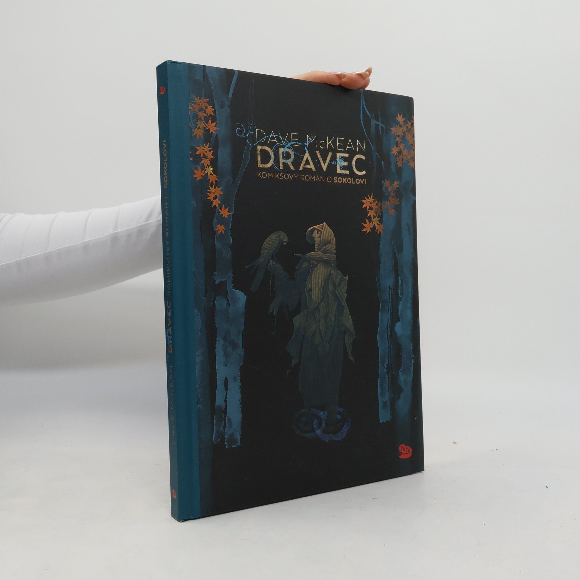 Dave McKean Dravec : Komiksový román o sokolovi