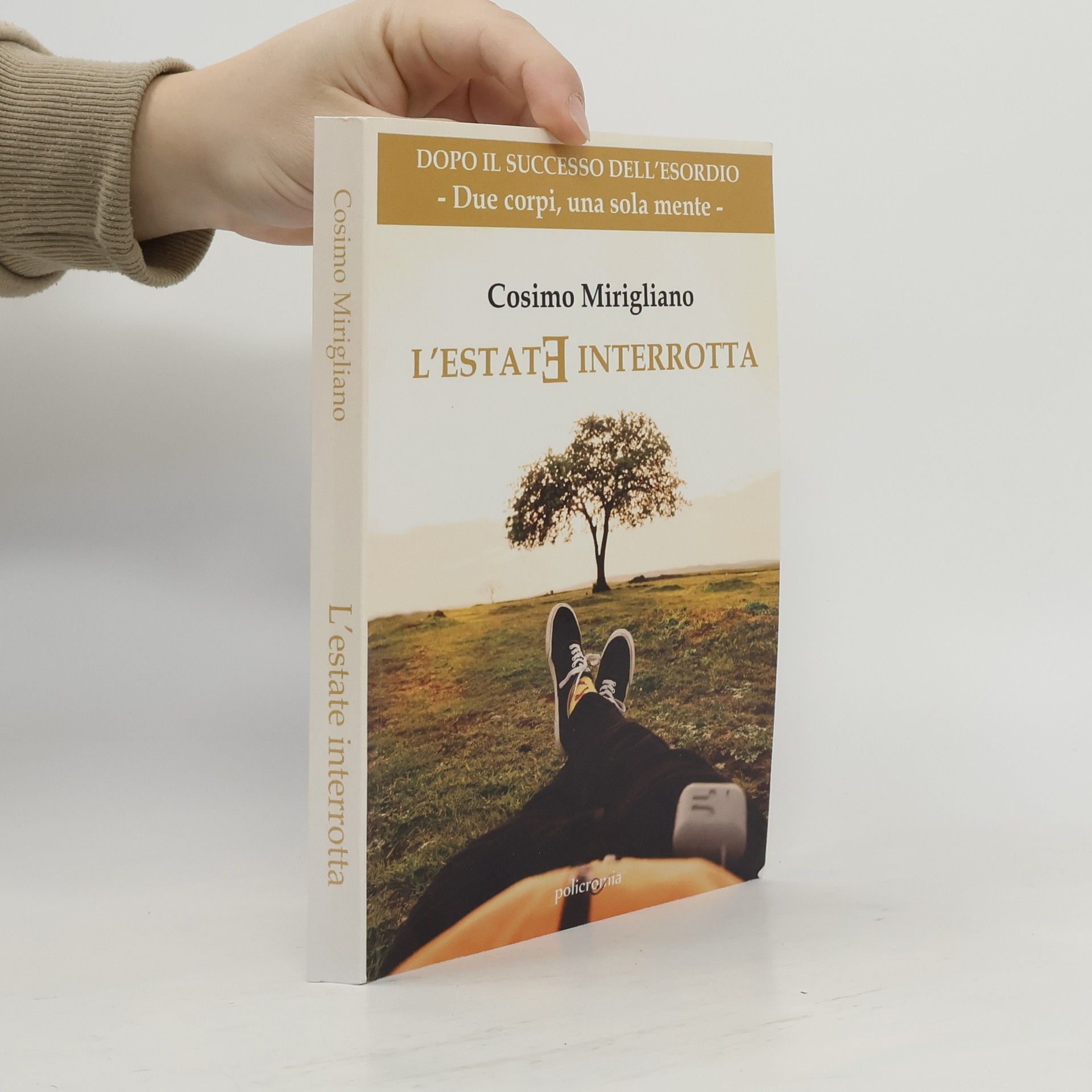 Cosimo Mirigliano Policromia: L'estate interrotta