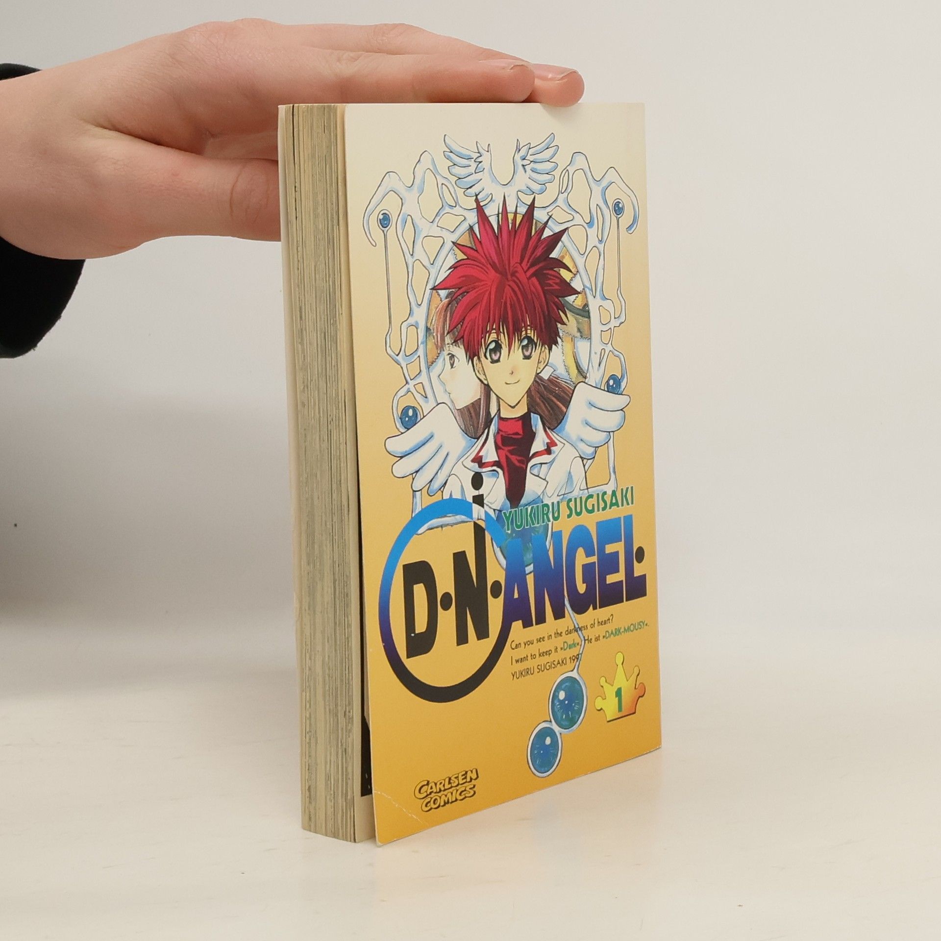 Jukiru Sugisaki D. N. Angel 1