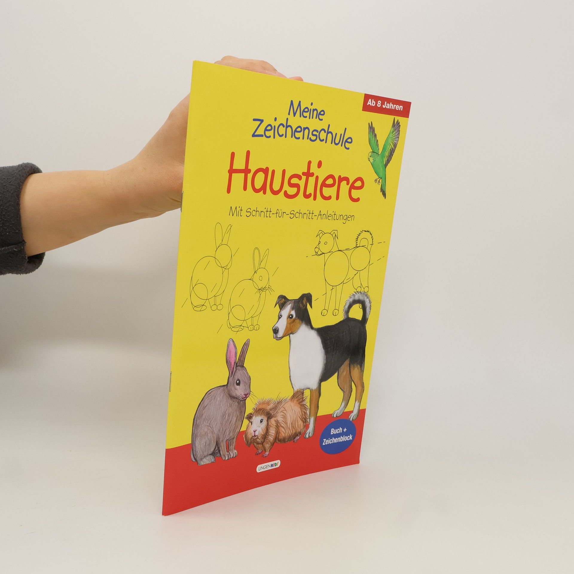 Collectif d'auteurs Meine Zeichenschule Haustiere