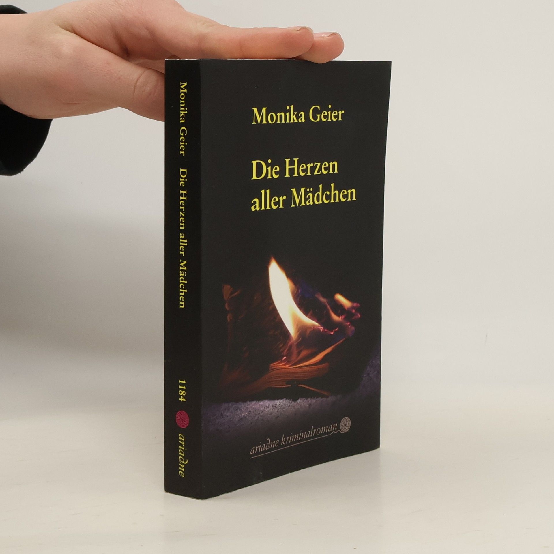 Monika Geier Die Herzen aller Mädchen