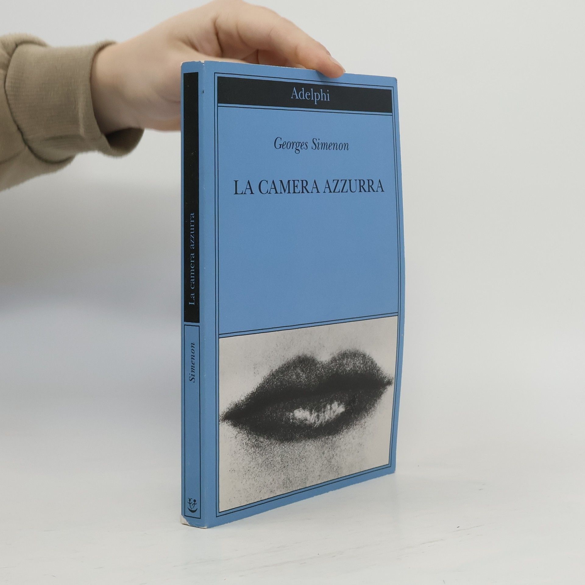 Georges Simenon La camera azzurra