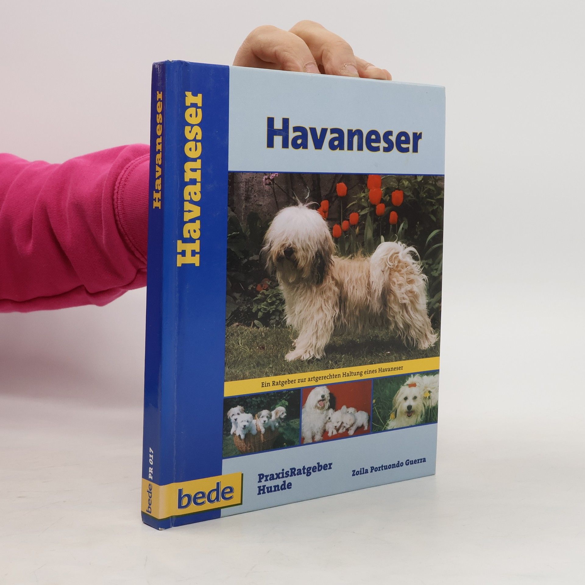 Havaneser