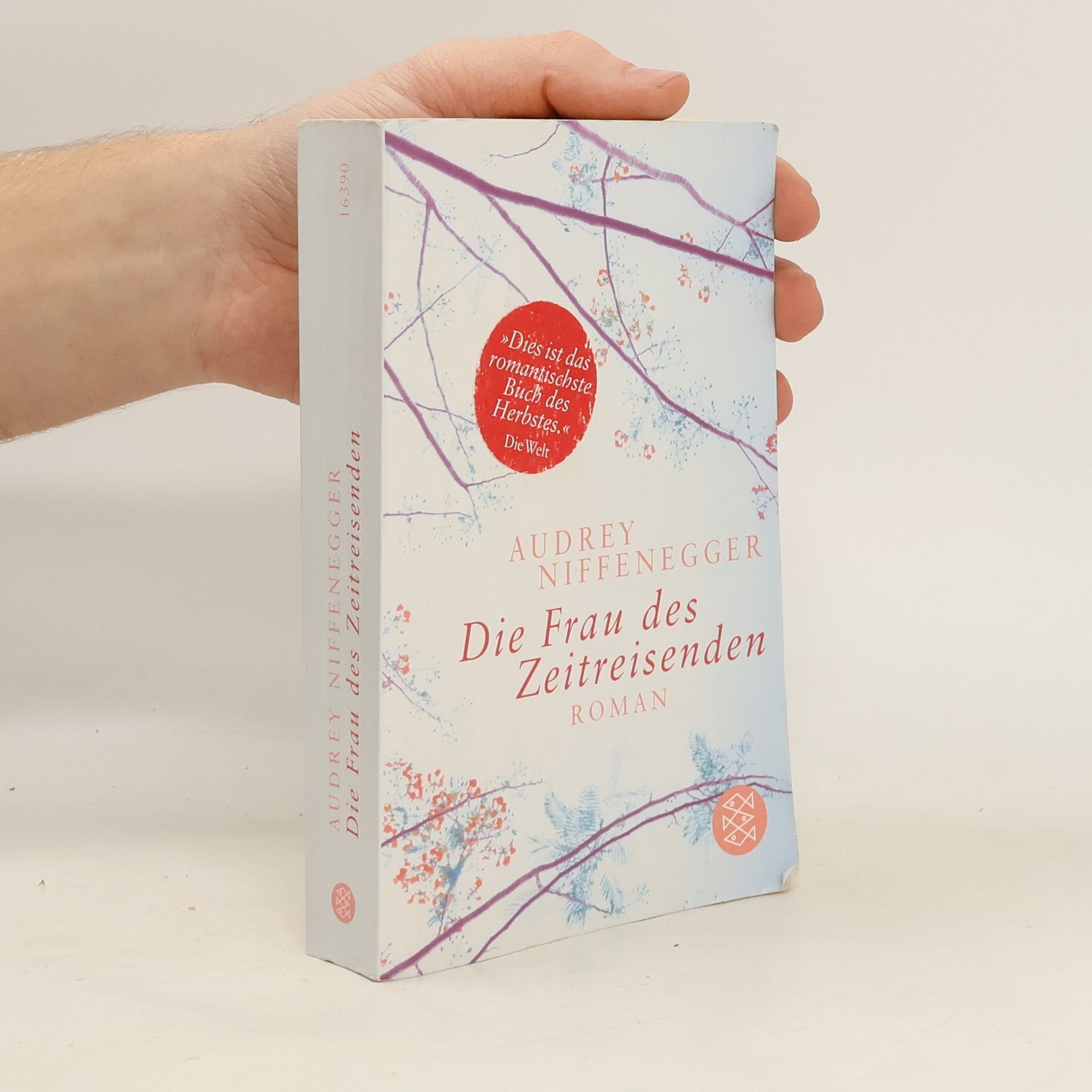 Audrey Niffenegger Die Frau des Zeitreisenden