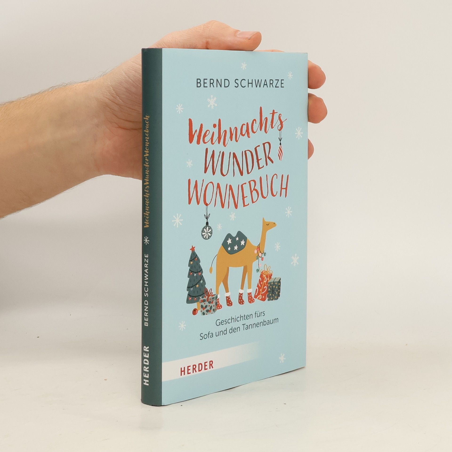Bernd Schwarze WeihnachtsWunderWonnebuch