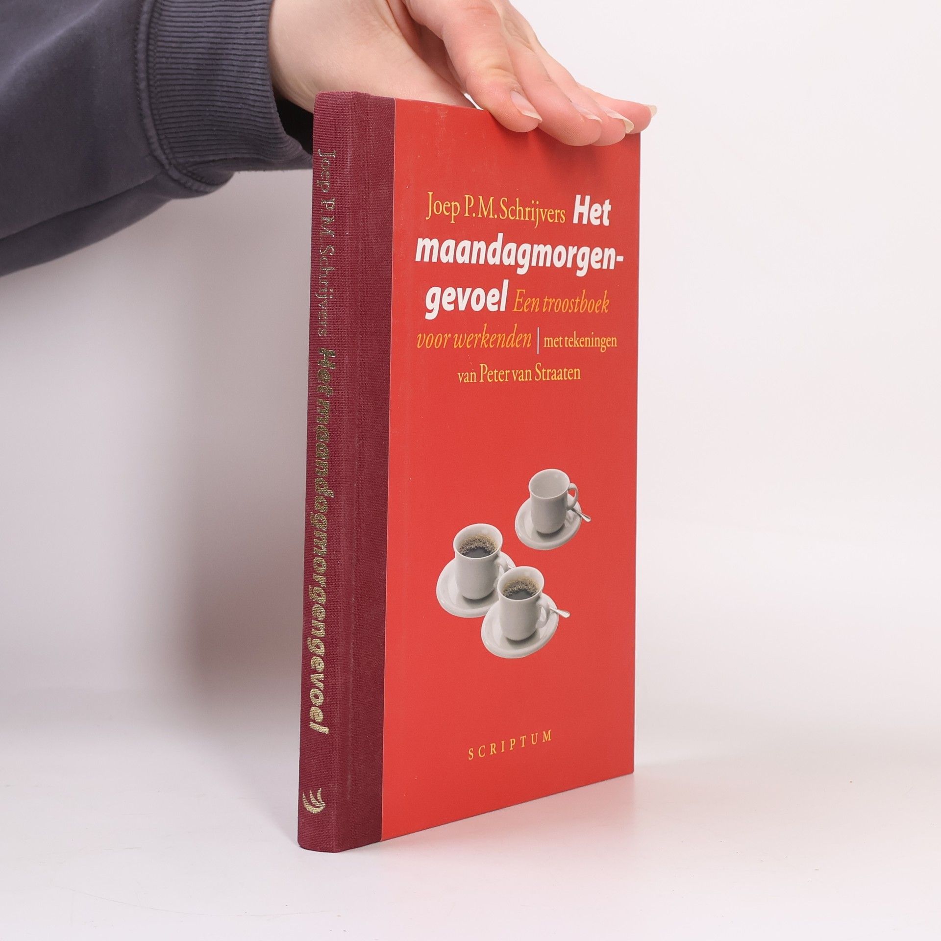 Jozef Petrus Maria Schrijvers Het maandagmorgengevoel