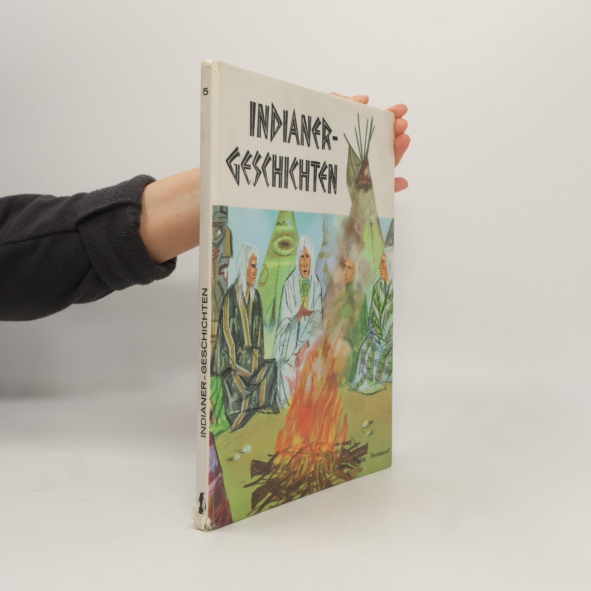 Kolektiv autorů Indianer-Geschichten 5