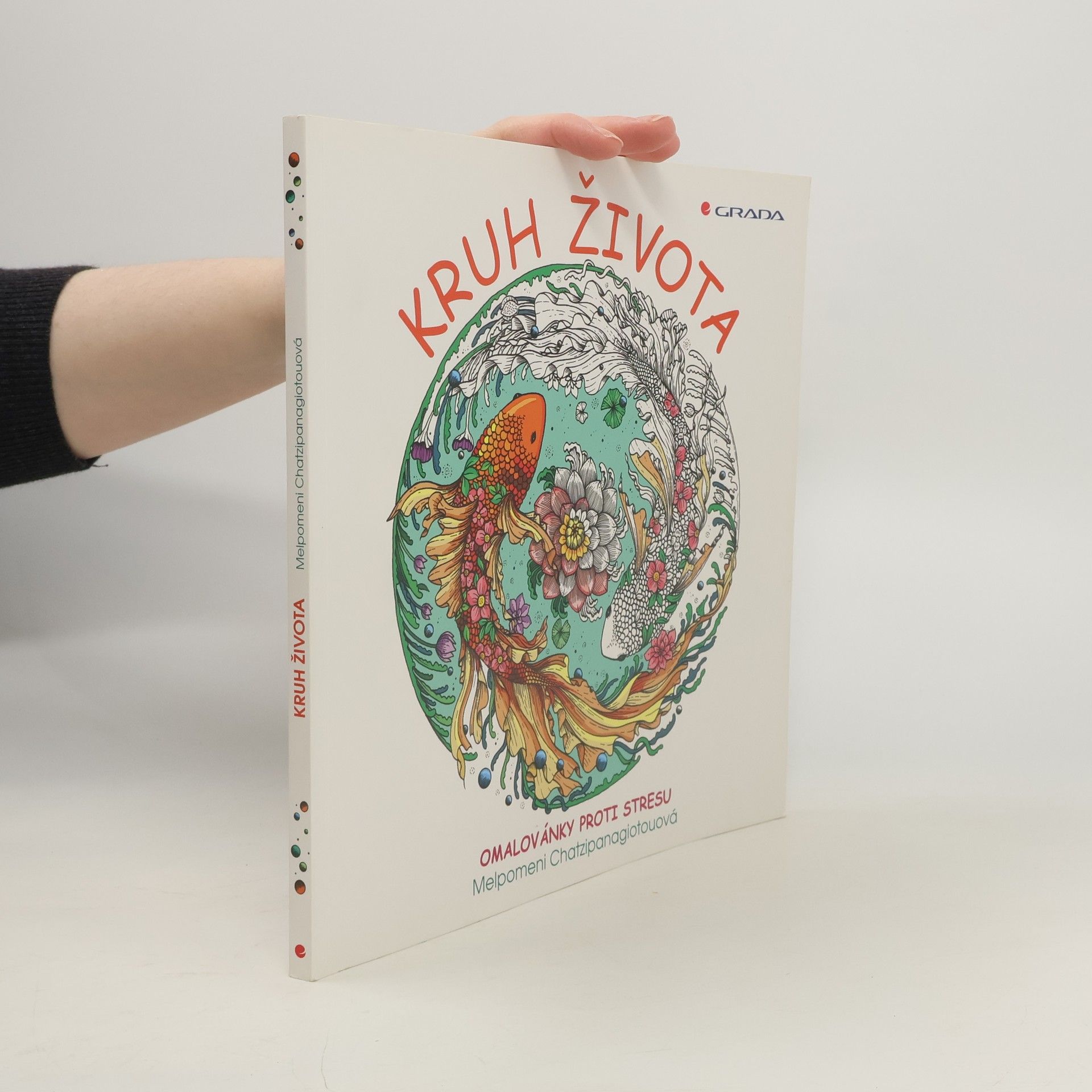 Autorenkollektiv Kruh života