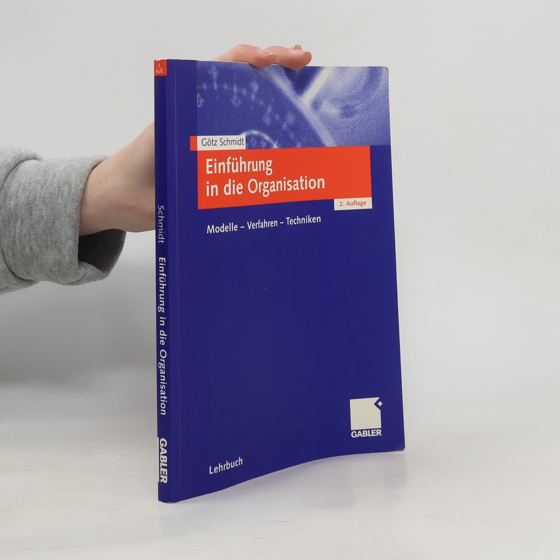 Götz Schmidt Einführung in die Organisation
