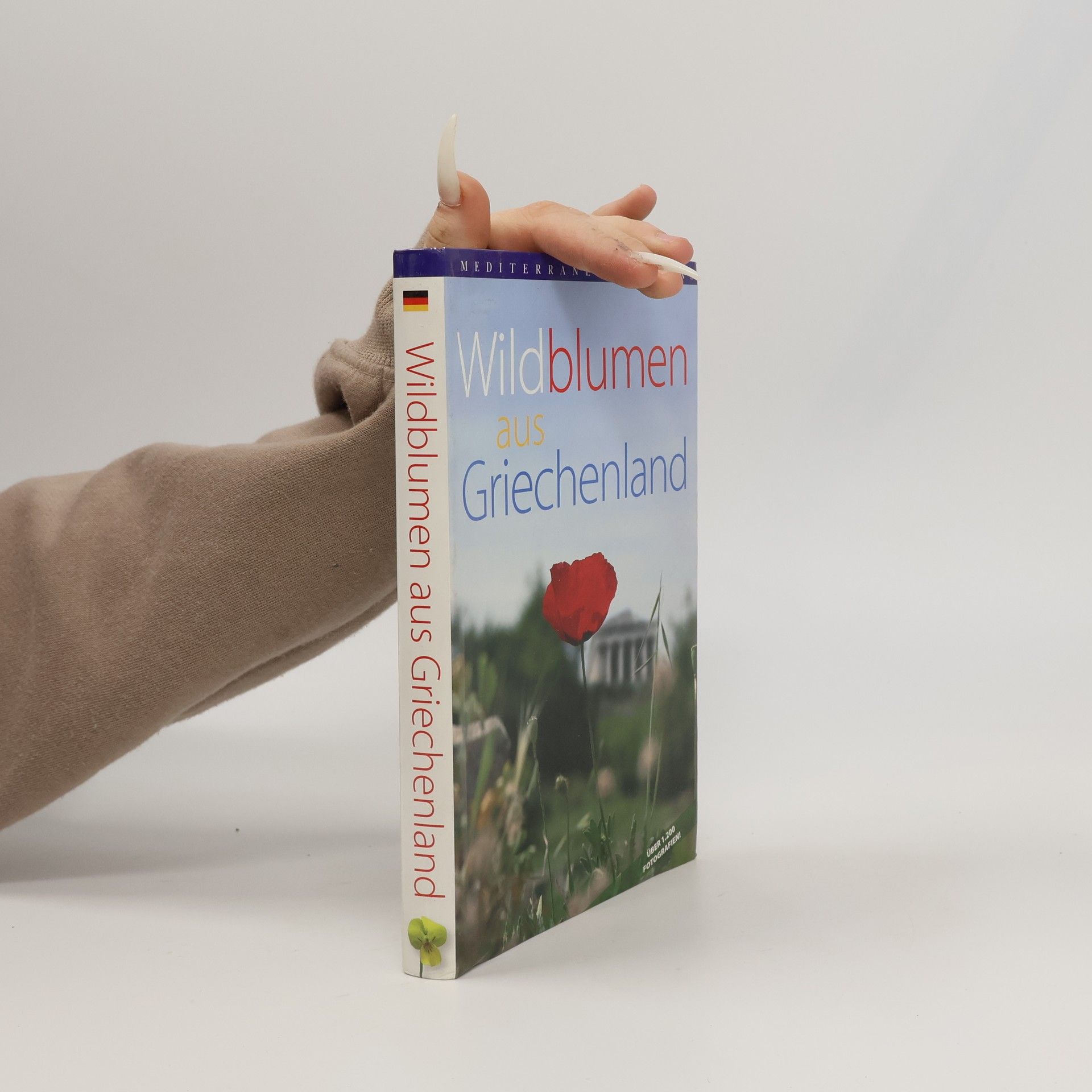 Wildblumen aus Griechenland