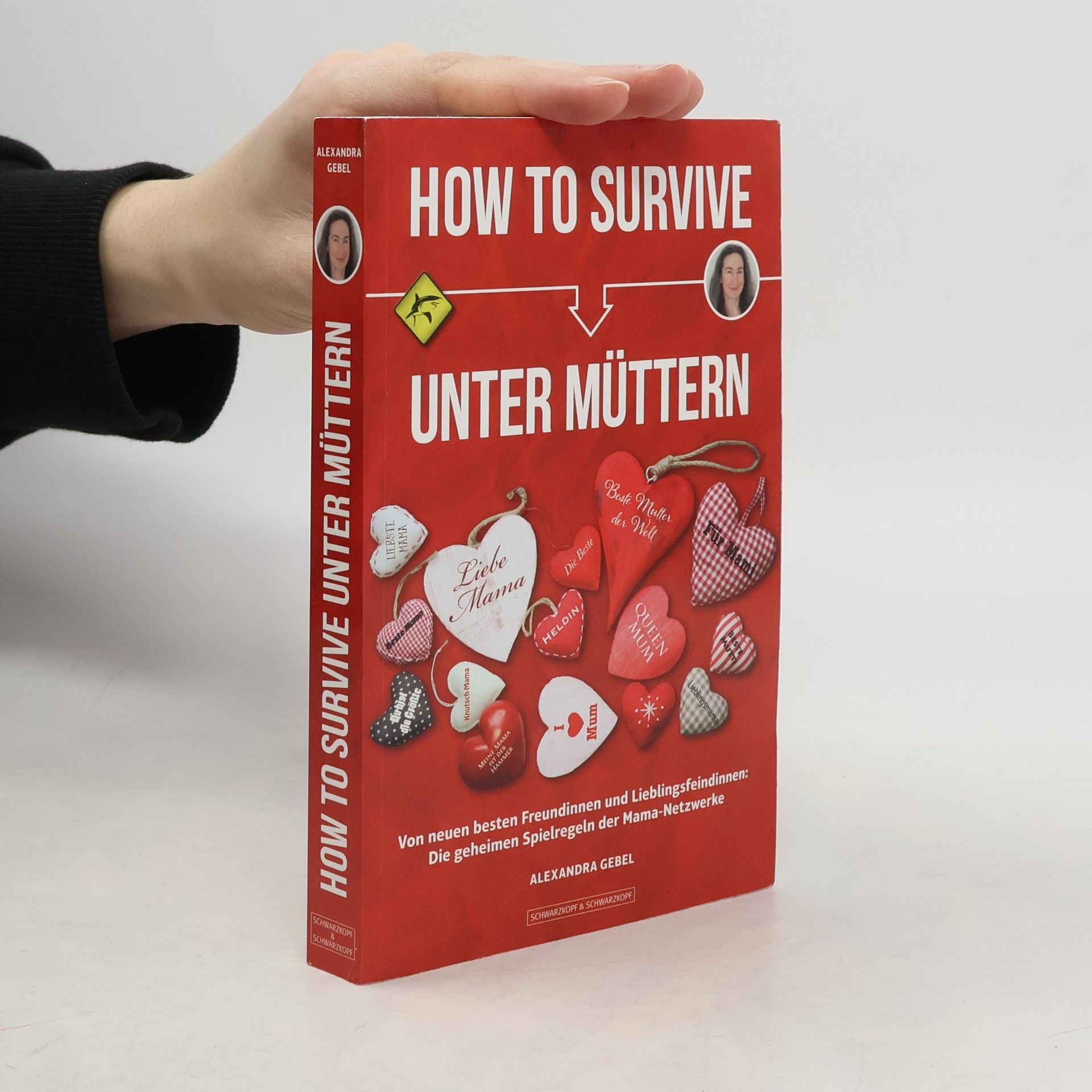 Alexandra Gebel How To Survive unter Müttern