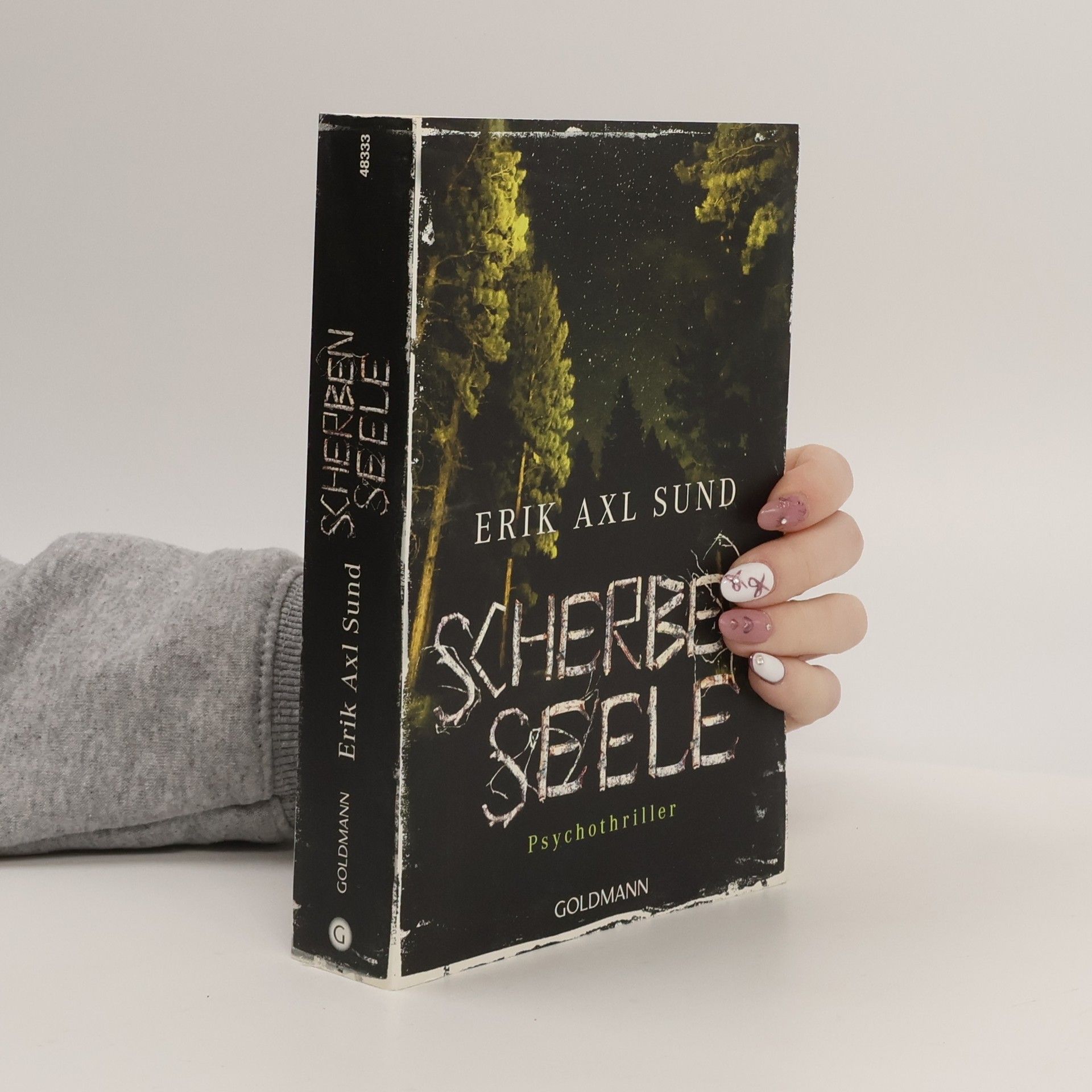 Erik Axl Sund Scherbenseele