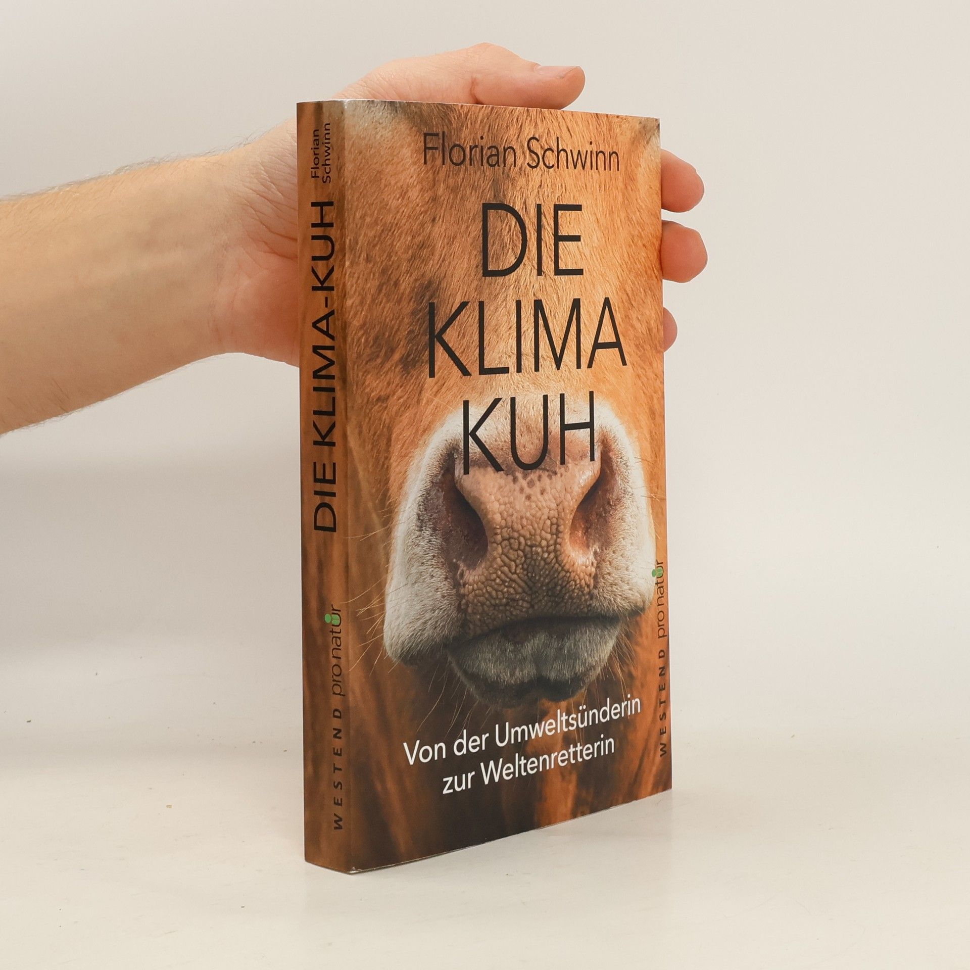 Die Klima-Kuh