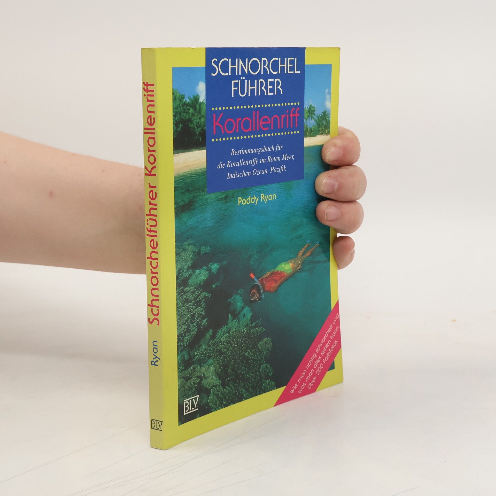 Paddy Ryan Schnorchelführer Korallenriff