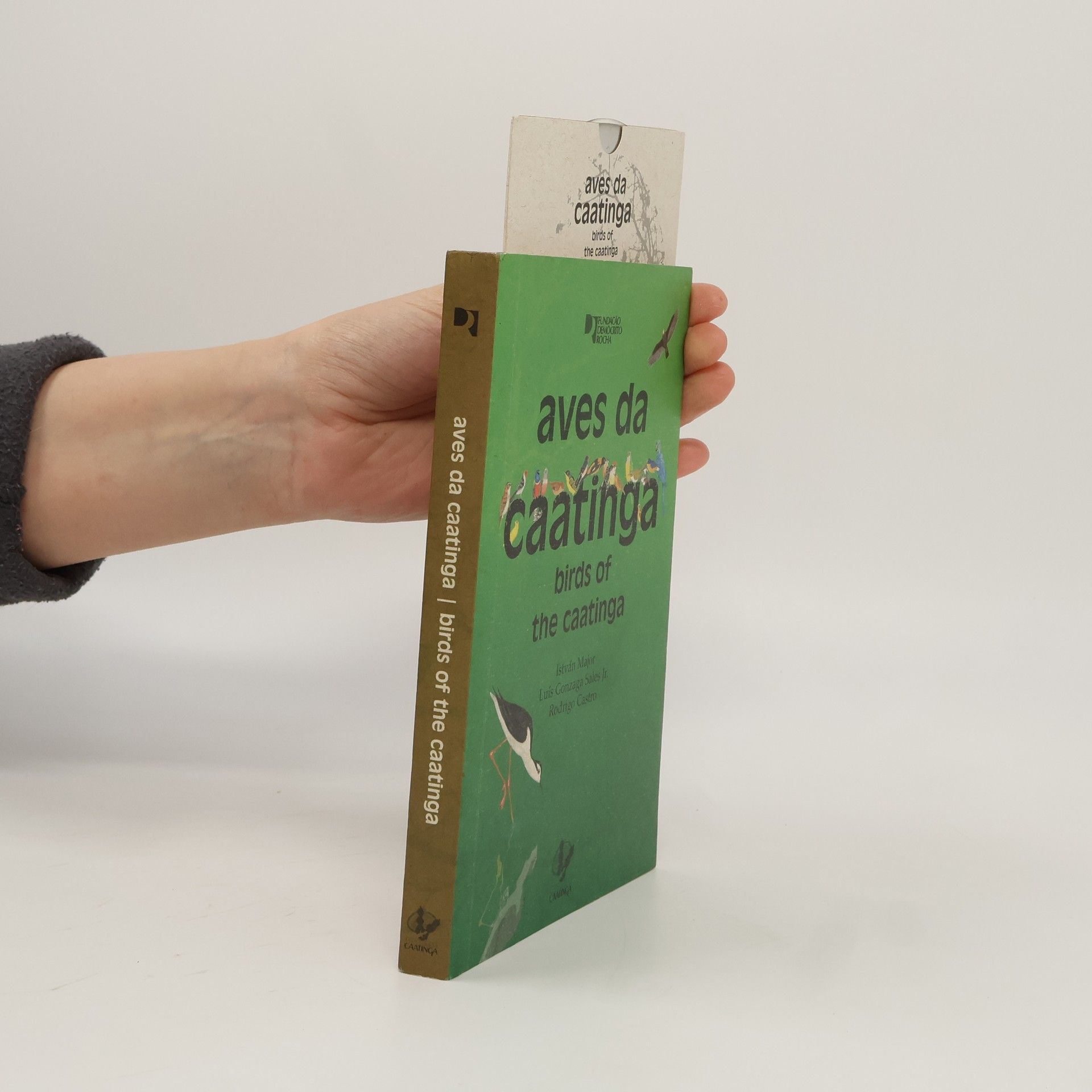 István J. Majoros Aves da Caatinga