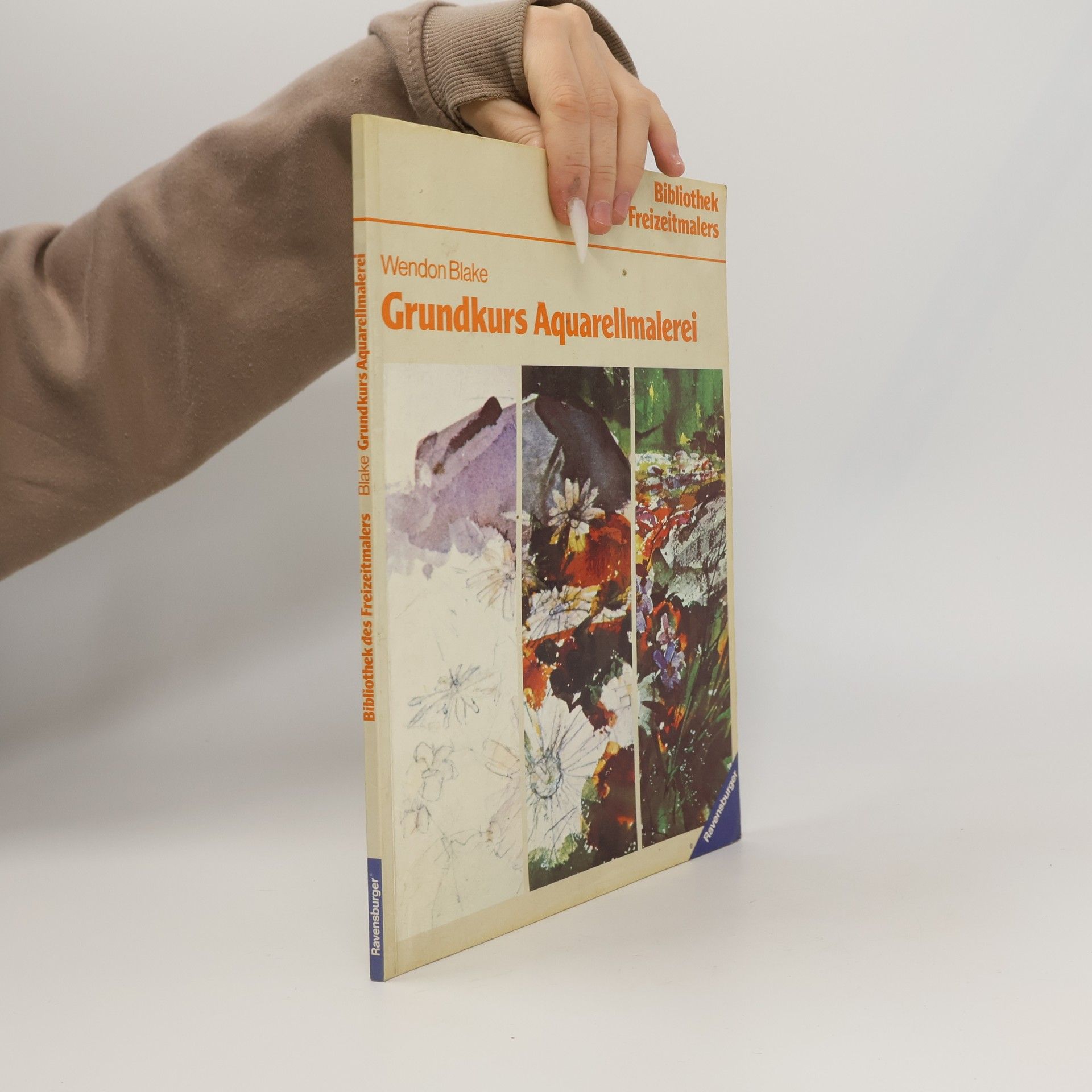 Wendon Blake Grundkurs Aquarell