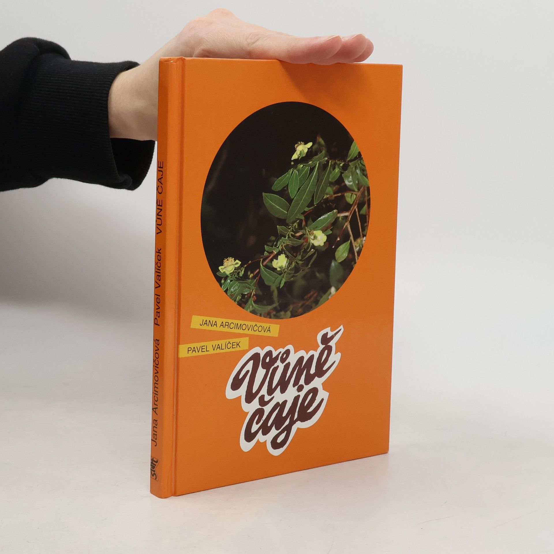 Pavel Valíček Vůně čaje