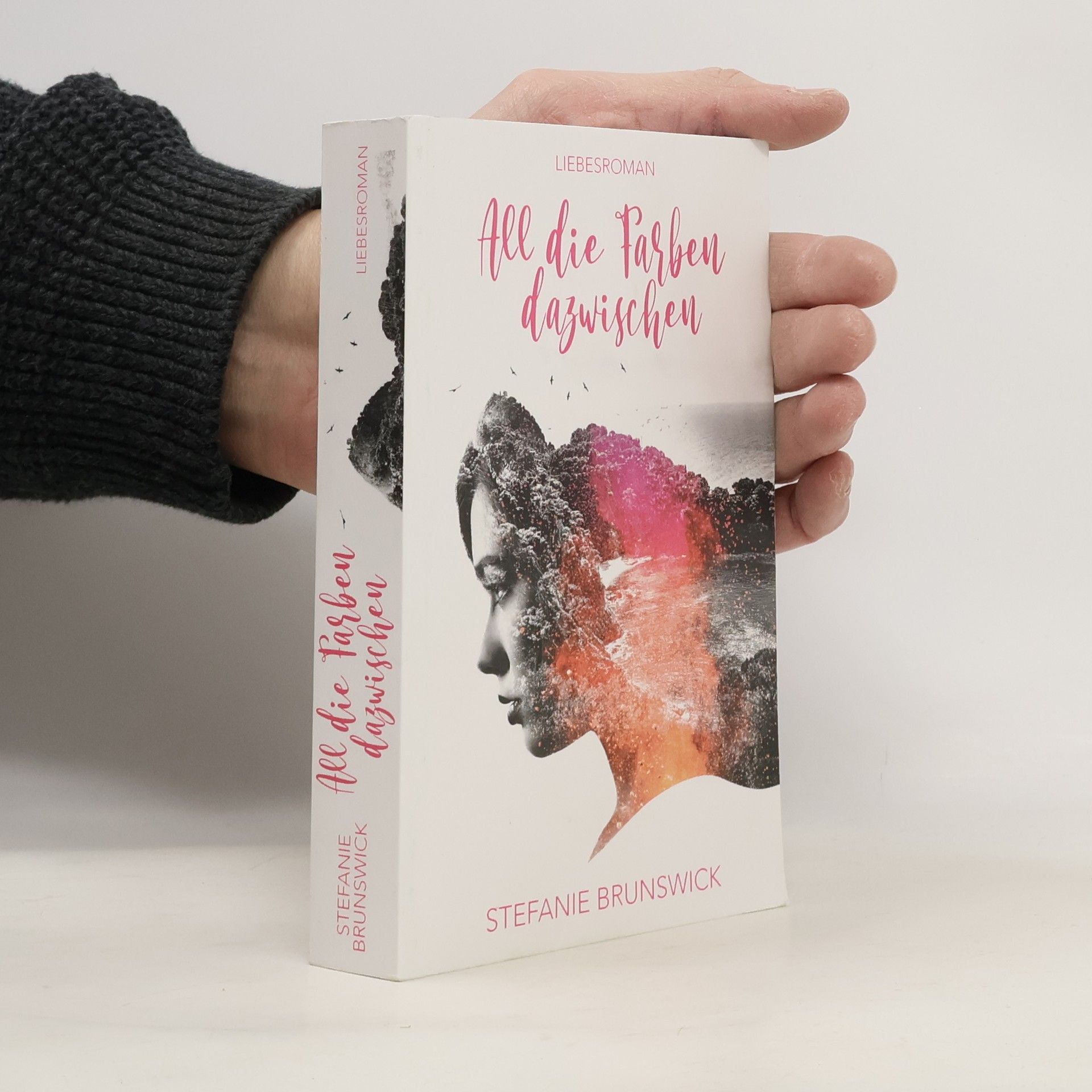 Stefanie Brunswick All die Farben dazwischen