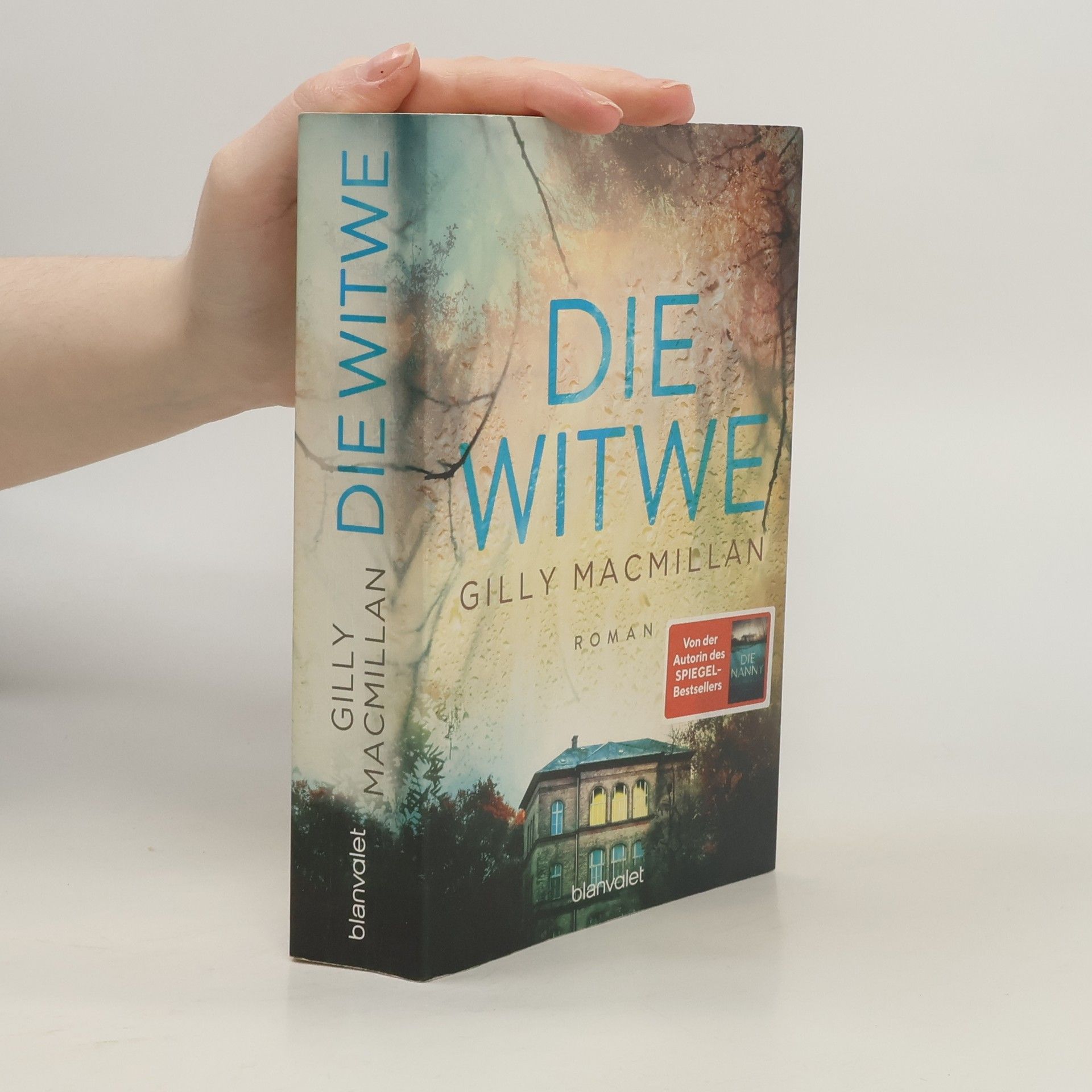 Gilly Macmillan Die Witwe