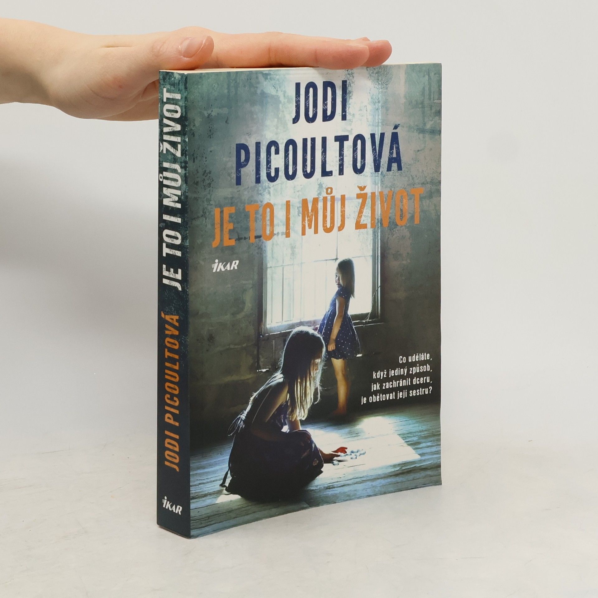 Jodi Picoult Je to i můj život