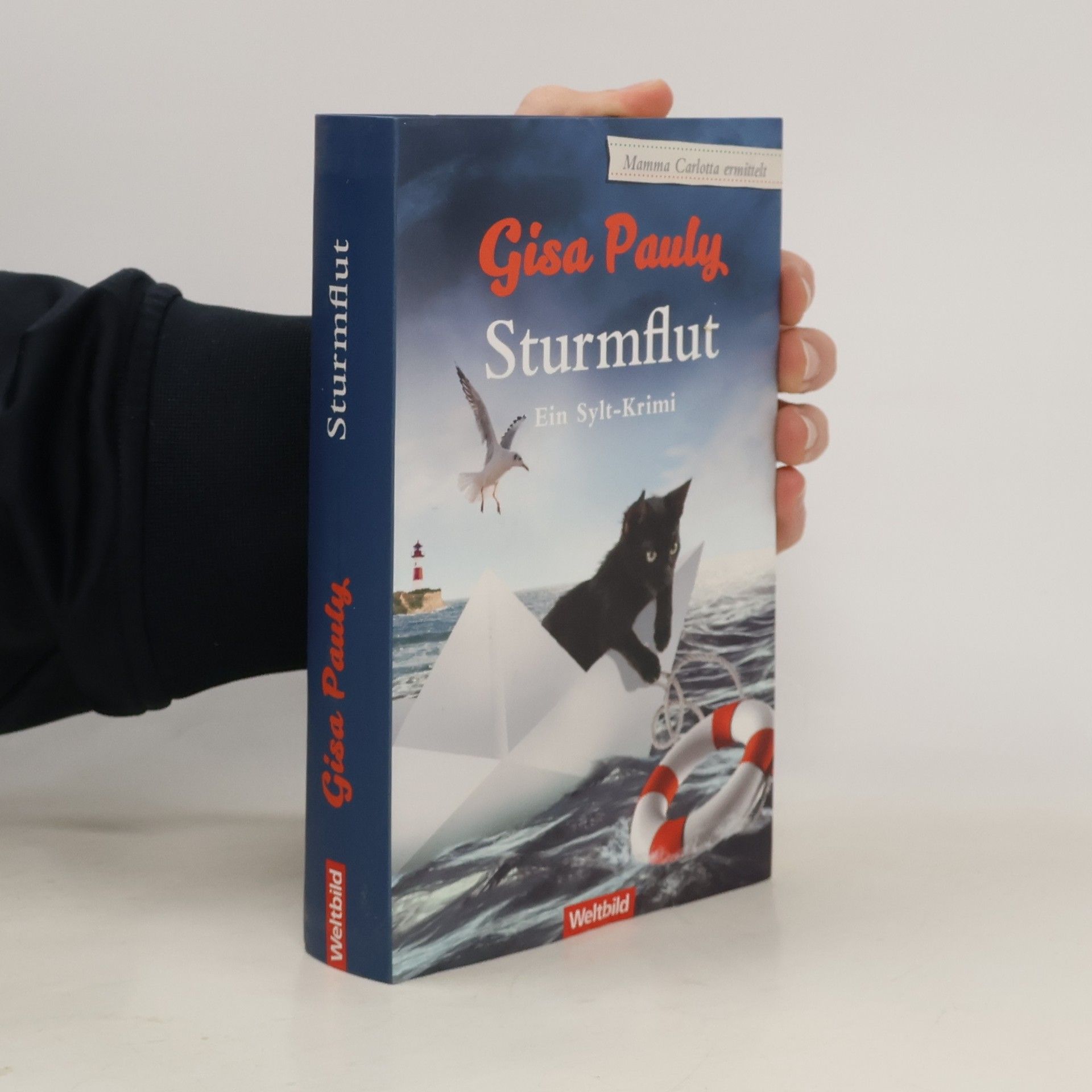 Gisa Pauly Sturmflut