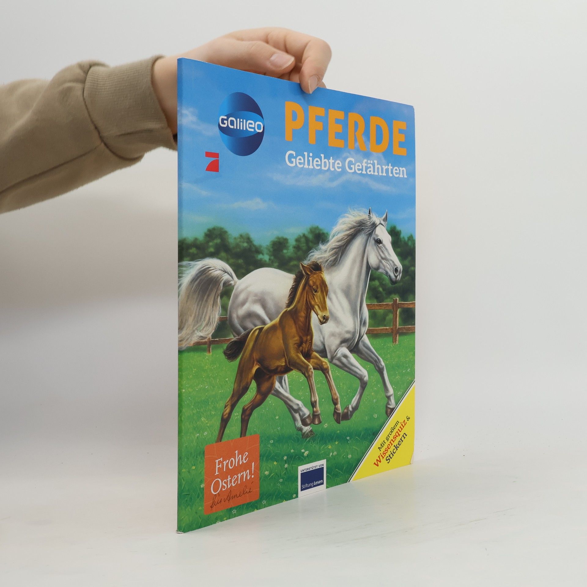 Collectif d'auteurs Pferde. Geliebte Gefährten