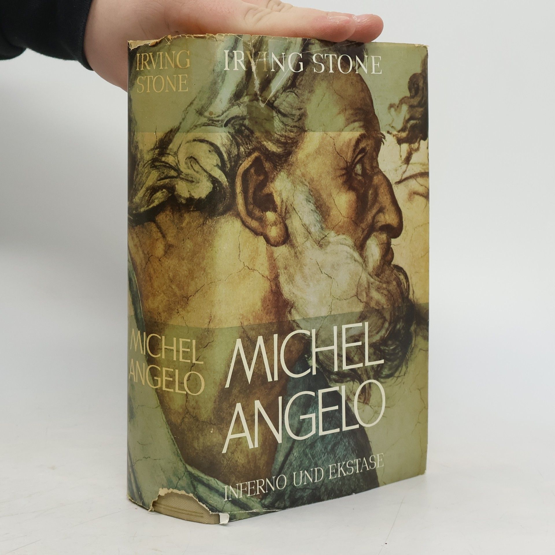 Irving Stone Michelangelo. Inferno und Ekstase