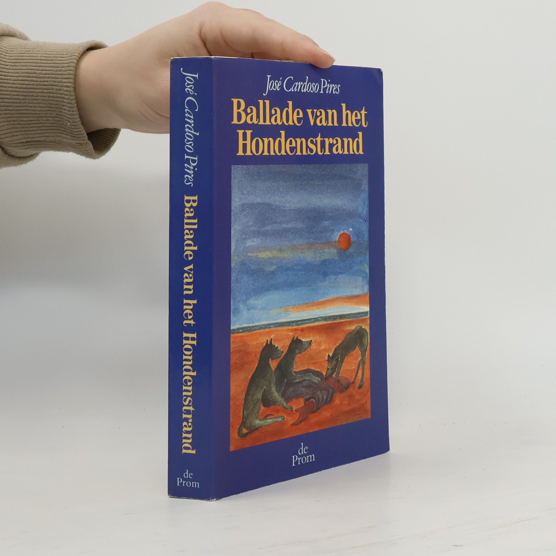 Ballade van het hondenstrand