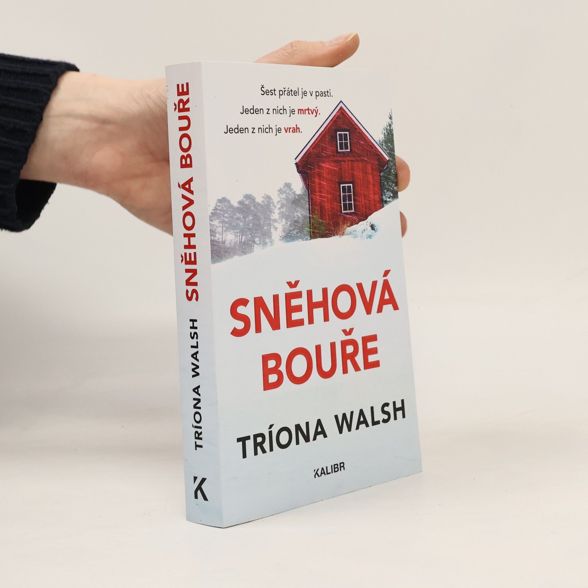 Tríona Walsh Sněhová bouře