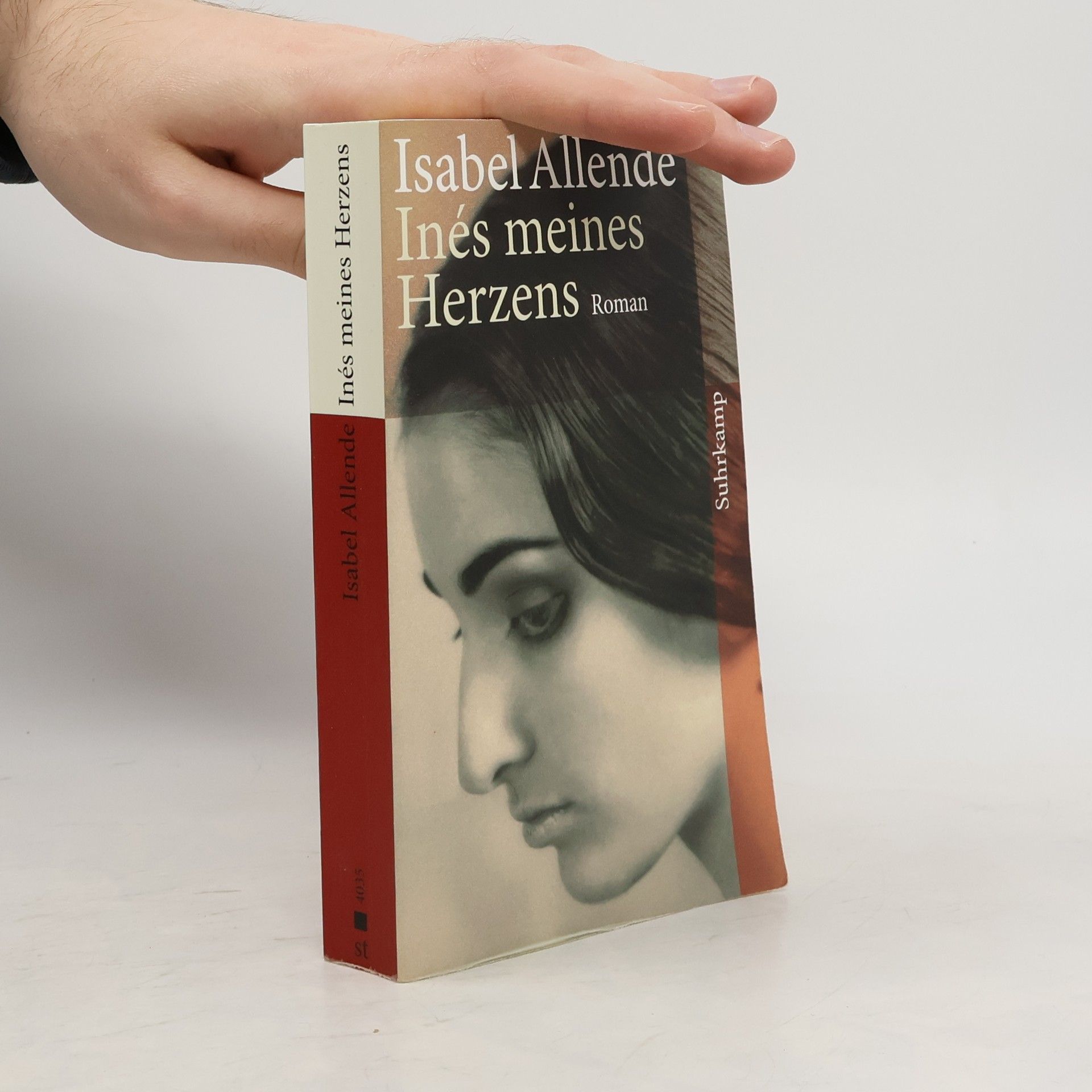 Isabel Allende Inés meines Herzens