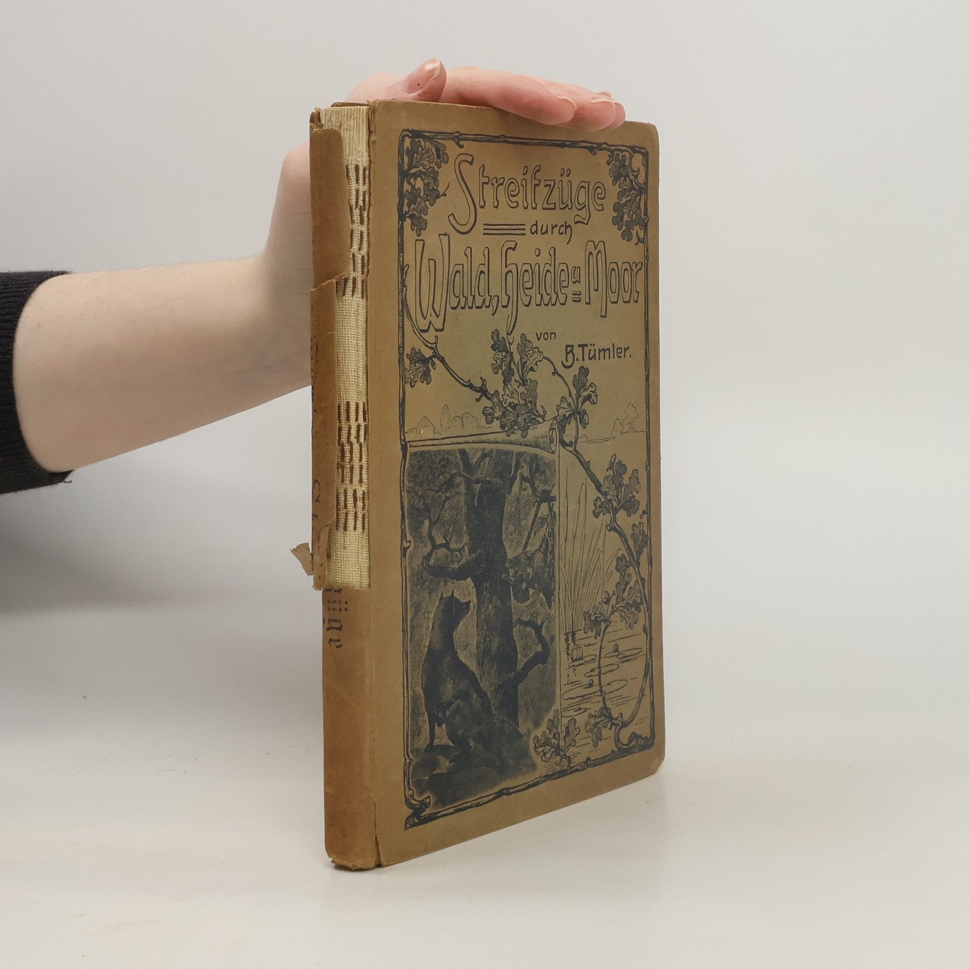 B. Tümler Streifzüge durch Wald, Heide und Moor