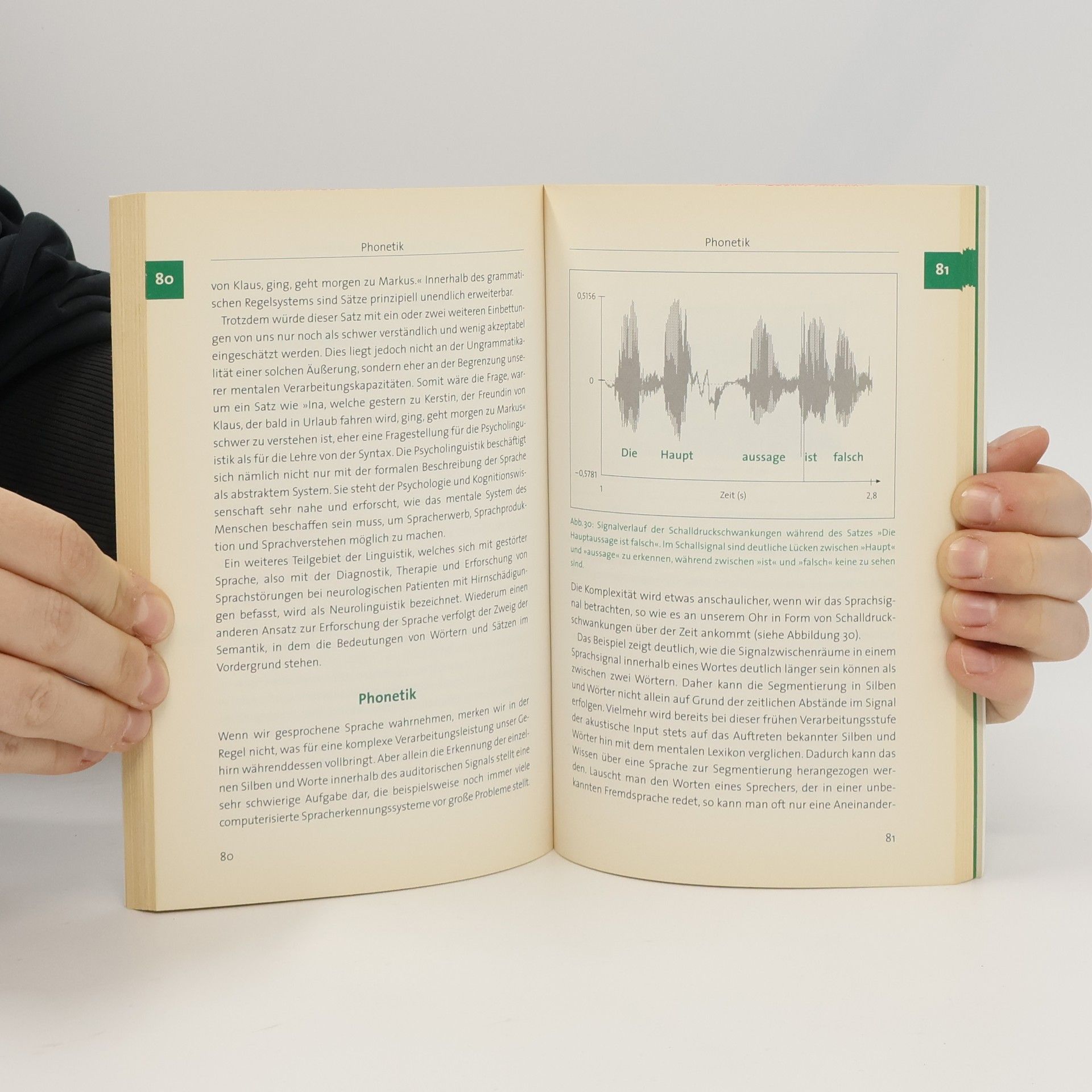 Christoph S. Herrmann Gehirn & Sprache