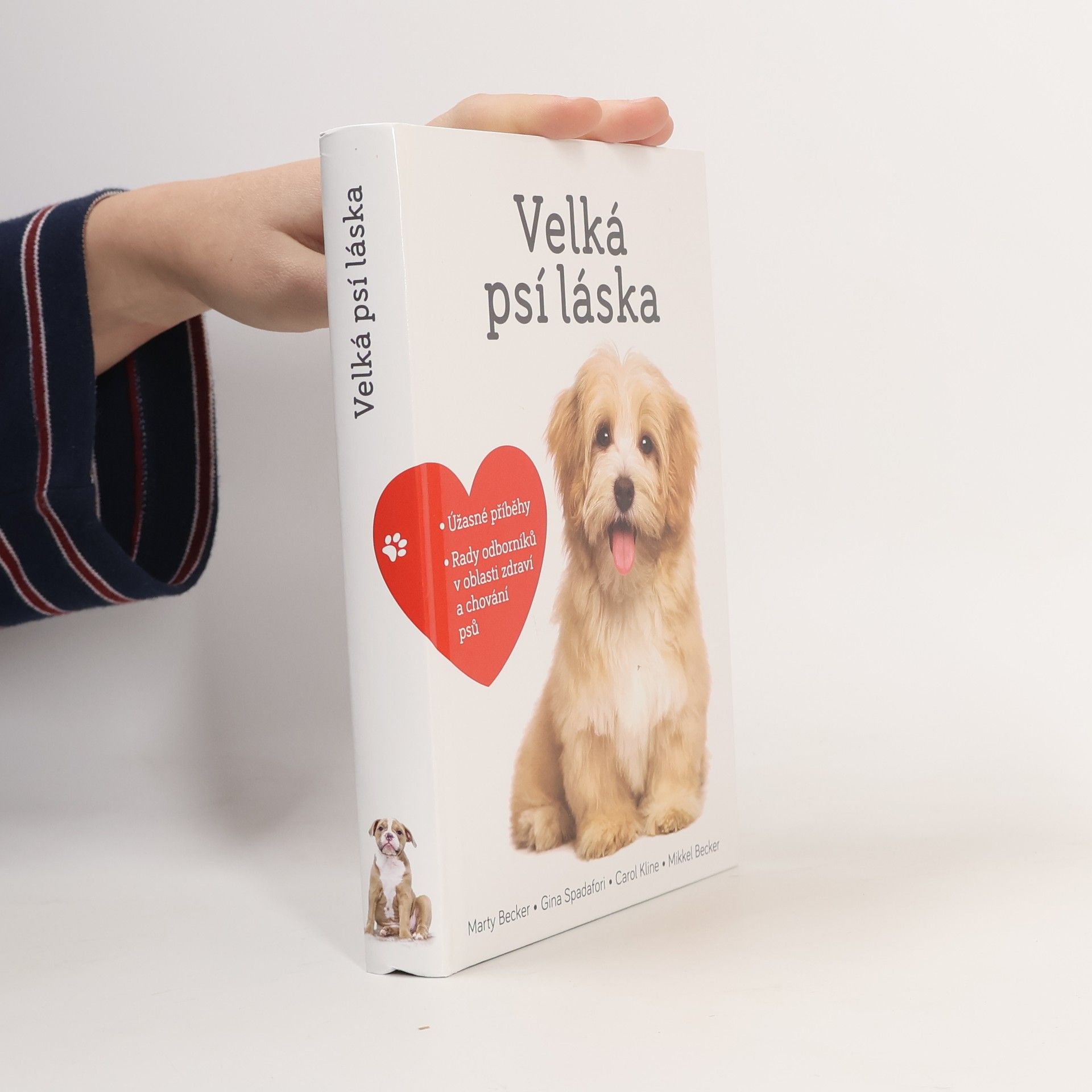 Velká psí láska: Příběhy, rady a úžasné fotografie psích bytostí