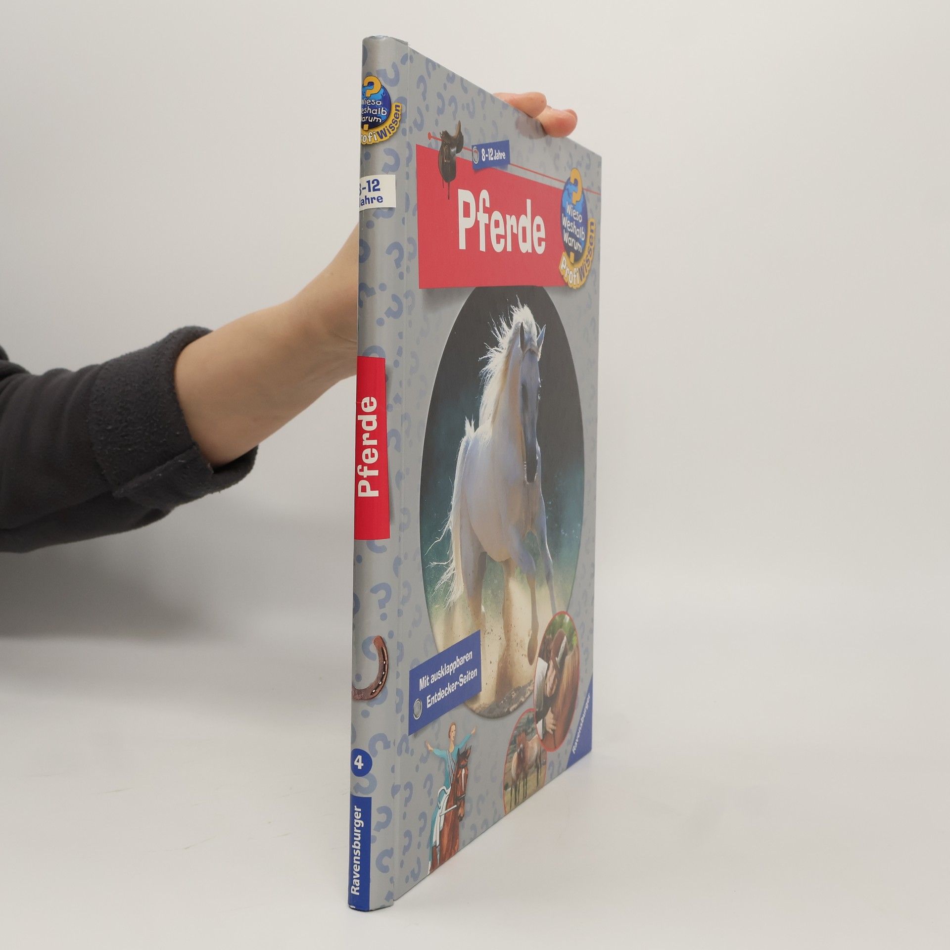 Autorenkollektiv Pferde