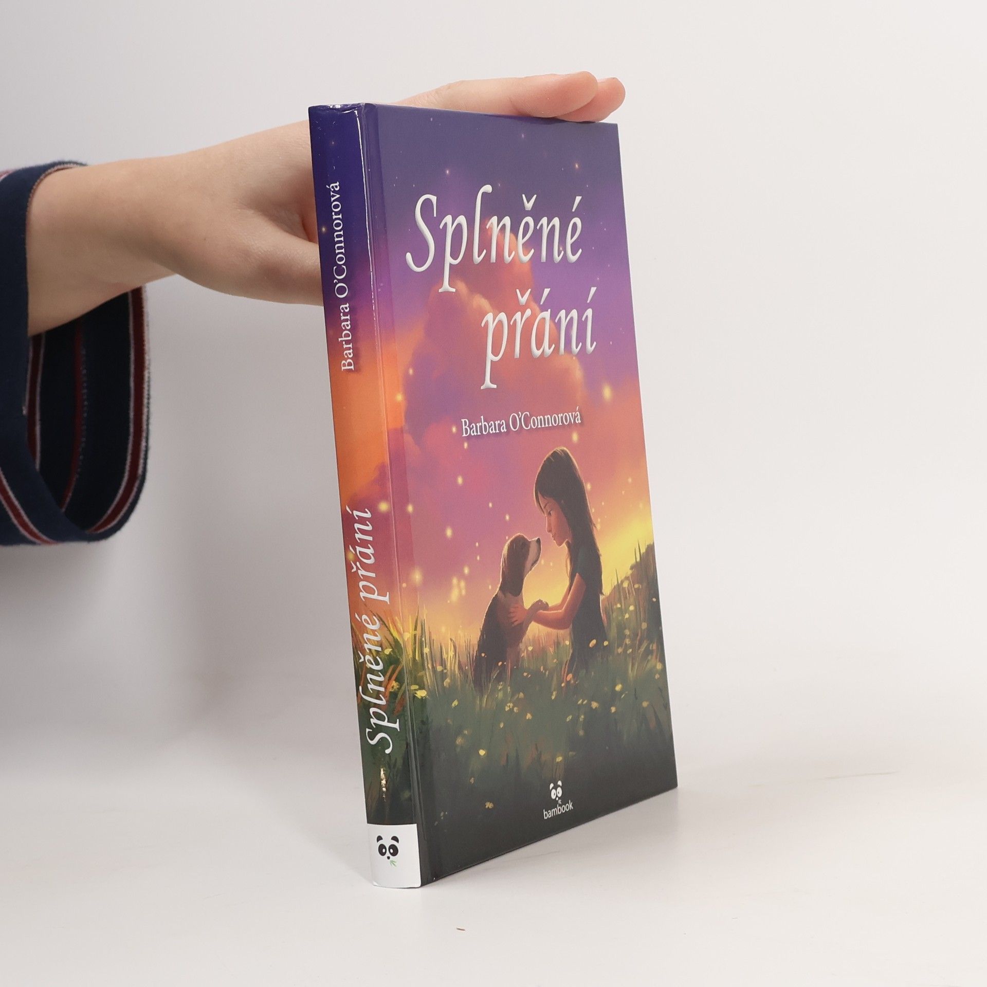 Barbara O'Connor Splněné přání