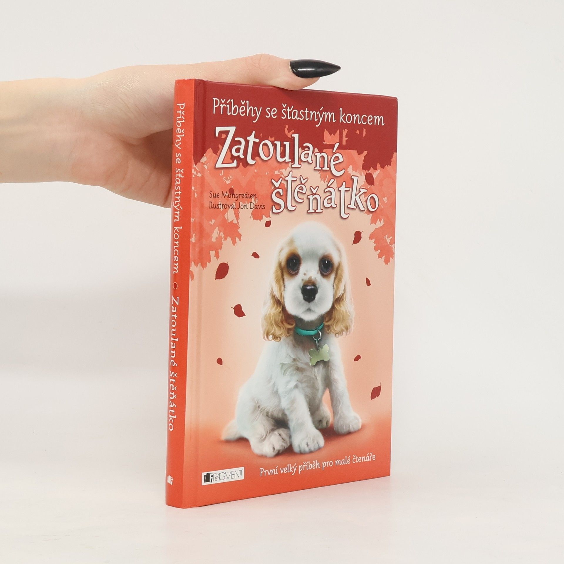 Jon Davis Zatoulané štěňátko