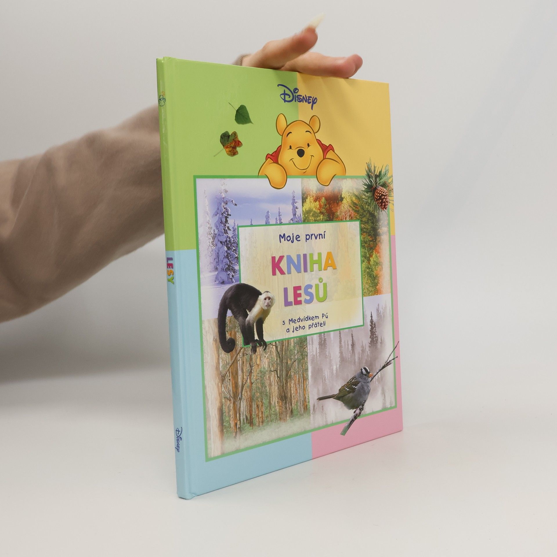 Walt Disney Moje první kniha lesů